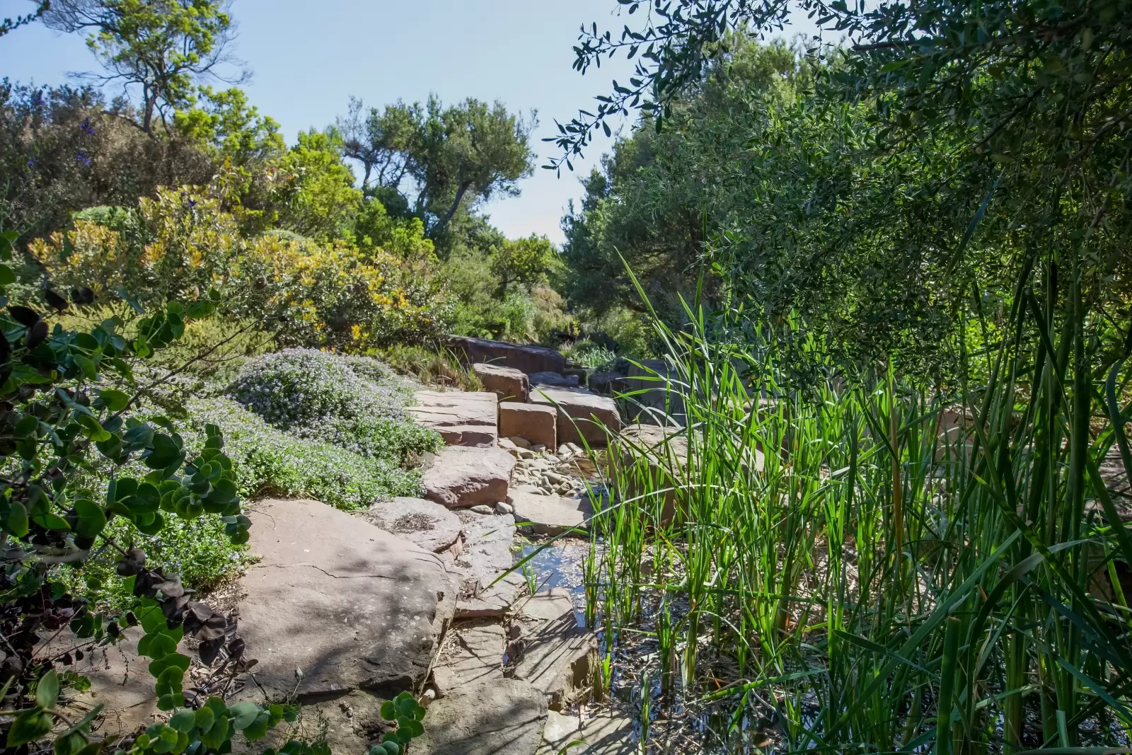 9 National Drive, Cape Schanck Sold by Melbourne Sotheby's International Realty - image 17