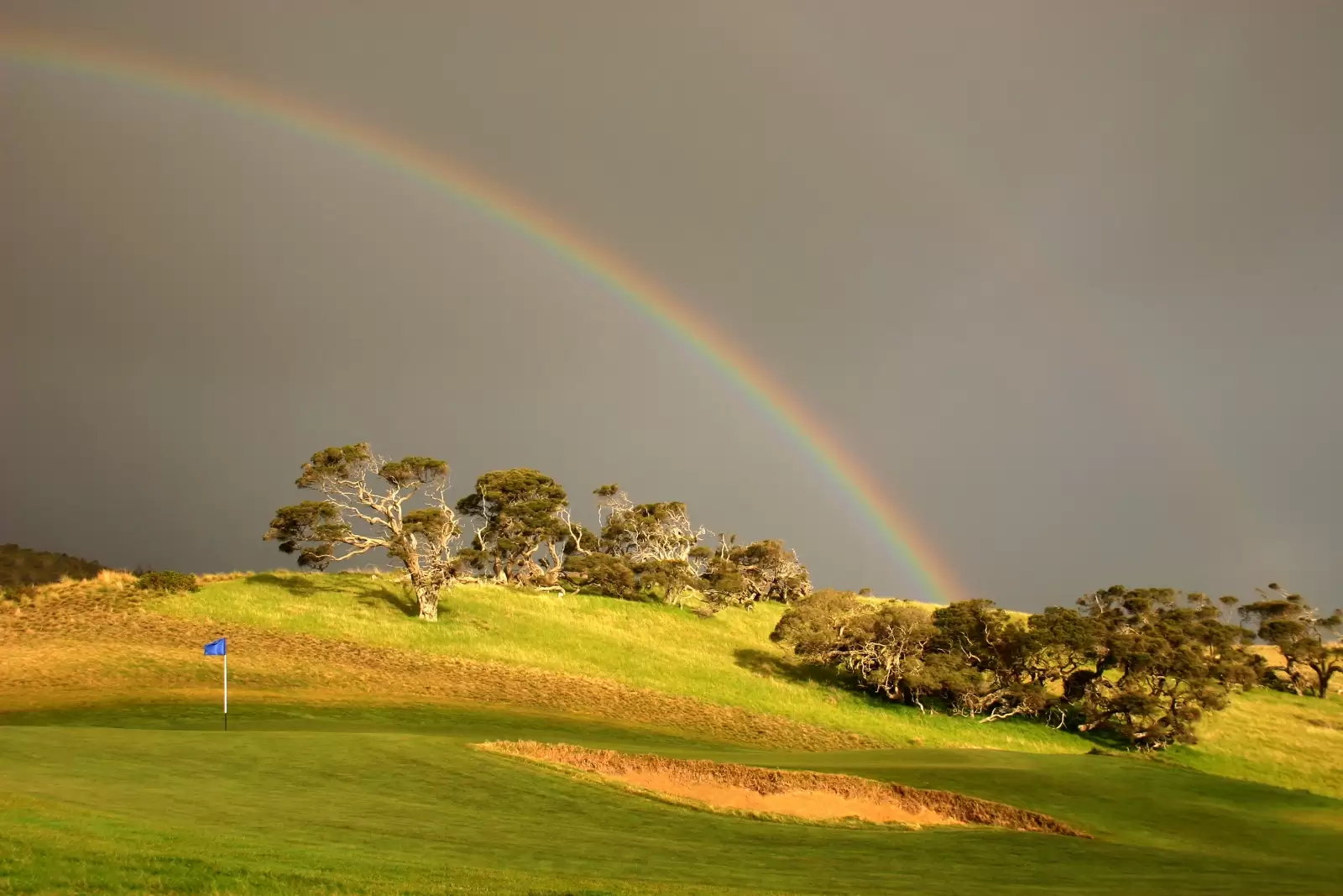 9 National Drive, Cape Schanck Sold by Melbourne Sotheby's International Realty - image 24