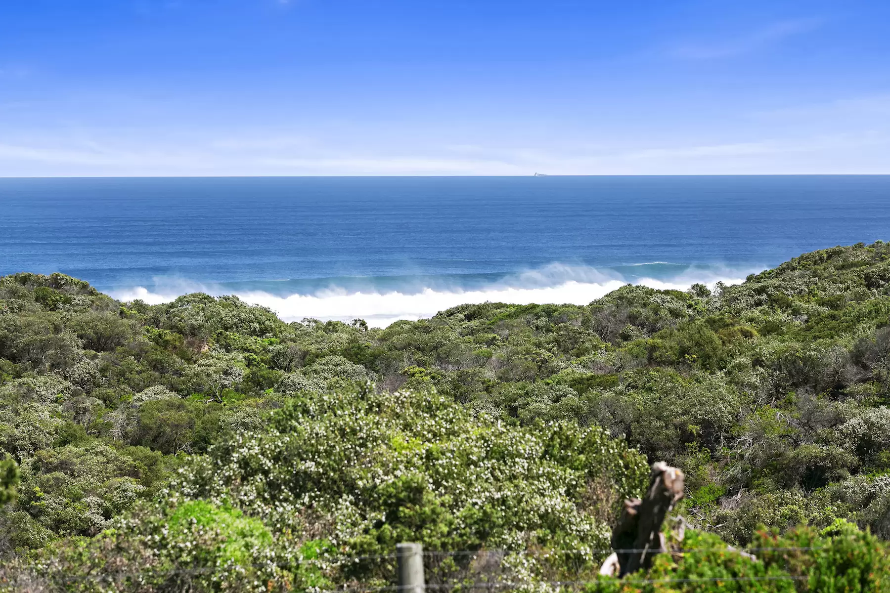 23 Wildcoast Road, Portsea Sold by Melbourne Sotheby's International Realty - image 7