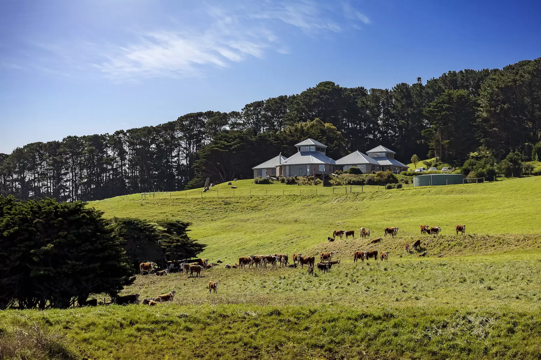 1746 Boneo Road, Flinders Sold by Melbourne Sotheby's International Realty - image 5