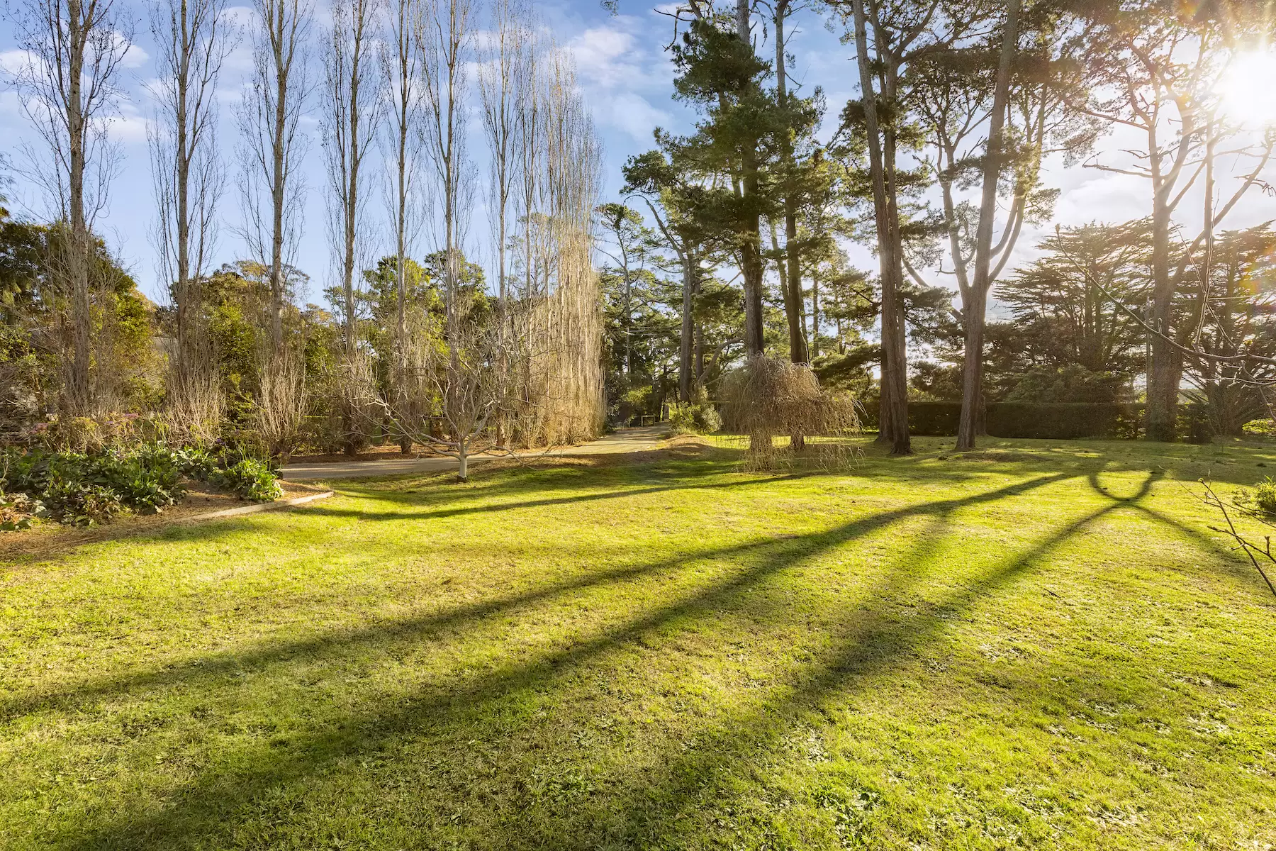 113 Wood Street, Flinders Sold by Melbourne Sotheby's International Realty - image 3