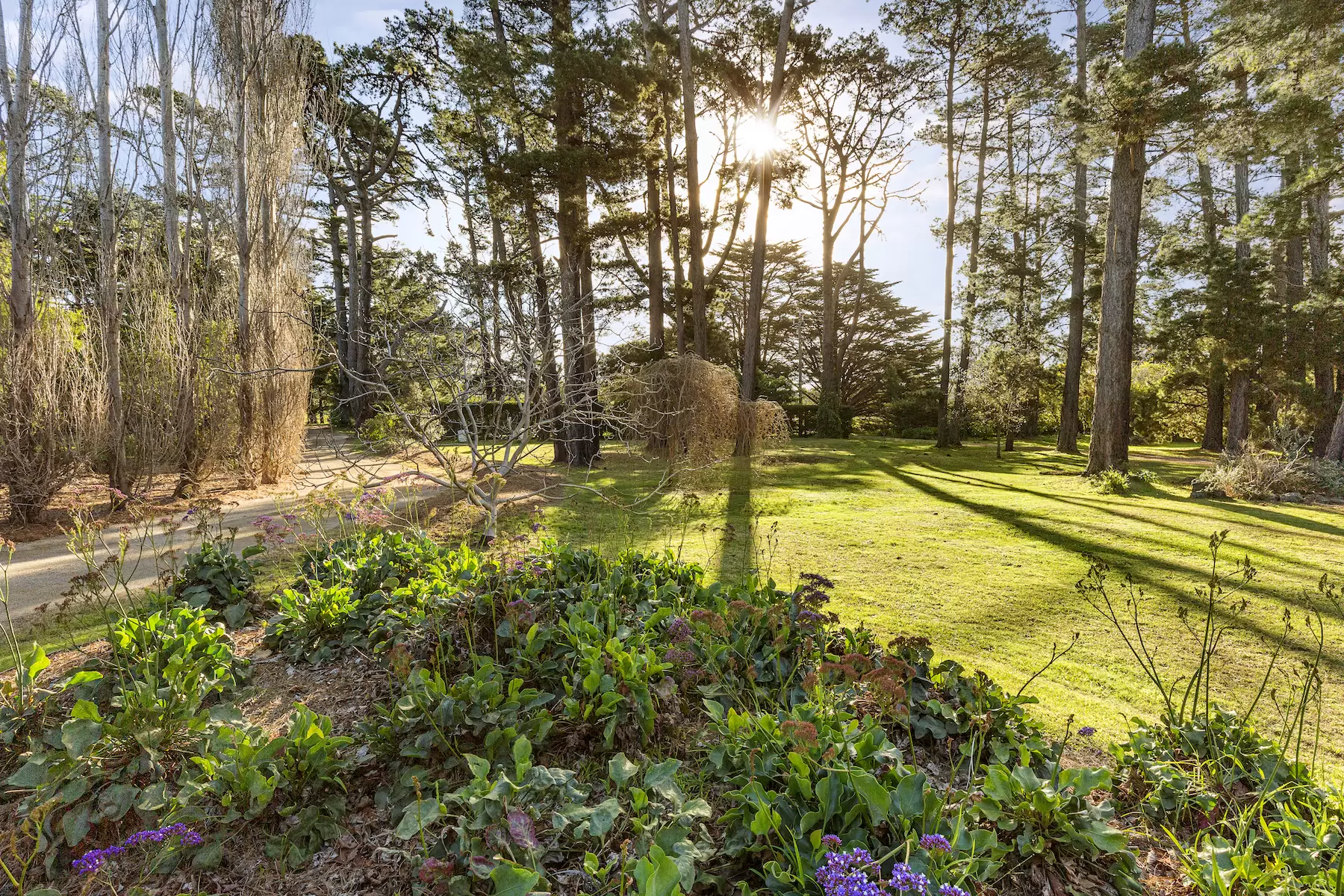 113 Wood Street, Flinders Sold by Melbourne Sotheby's International Realty - image 2