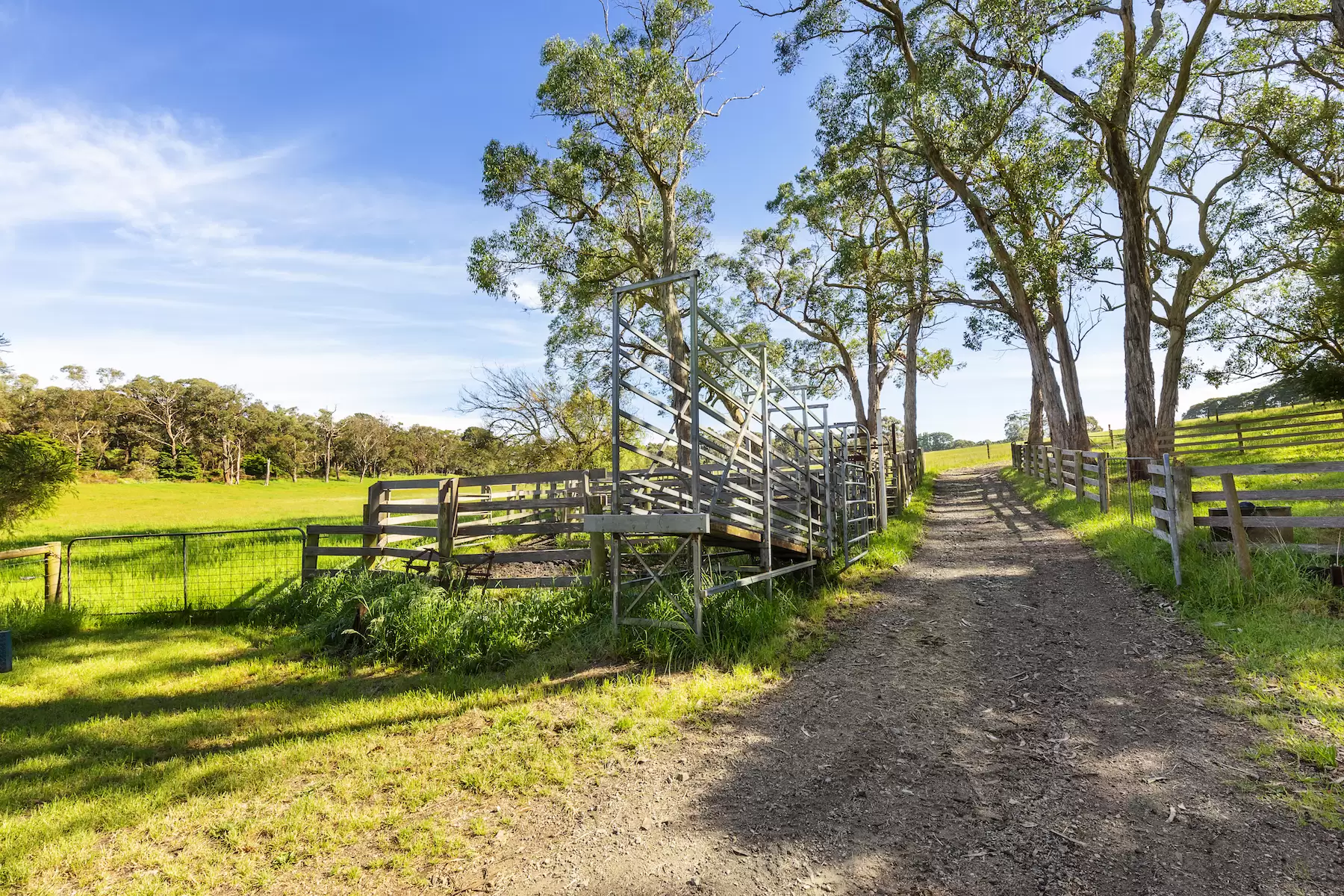 580 Main Creek Road, Main Ridge Sold by Melbourne Sotheby's International Realty - image 18