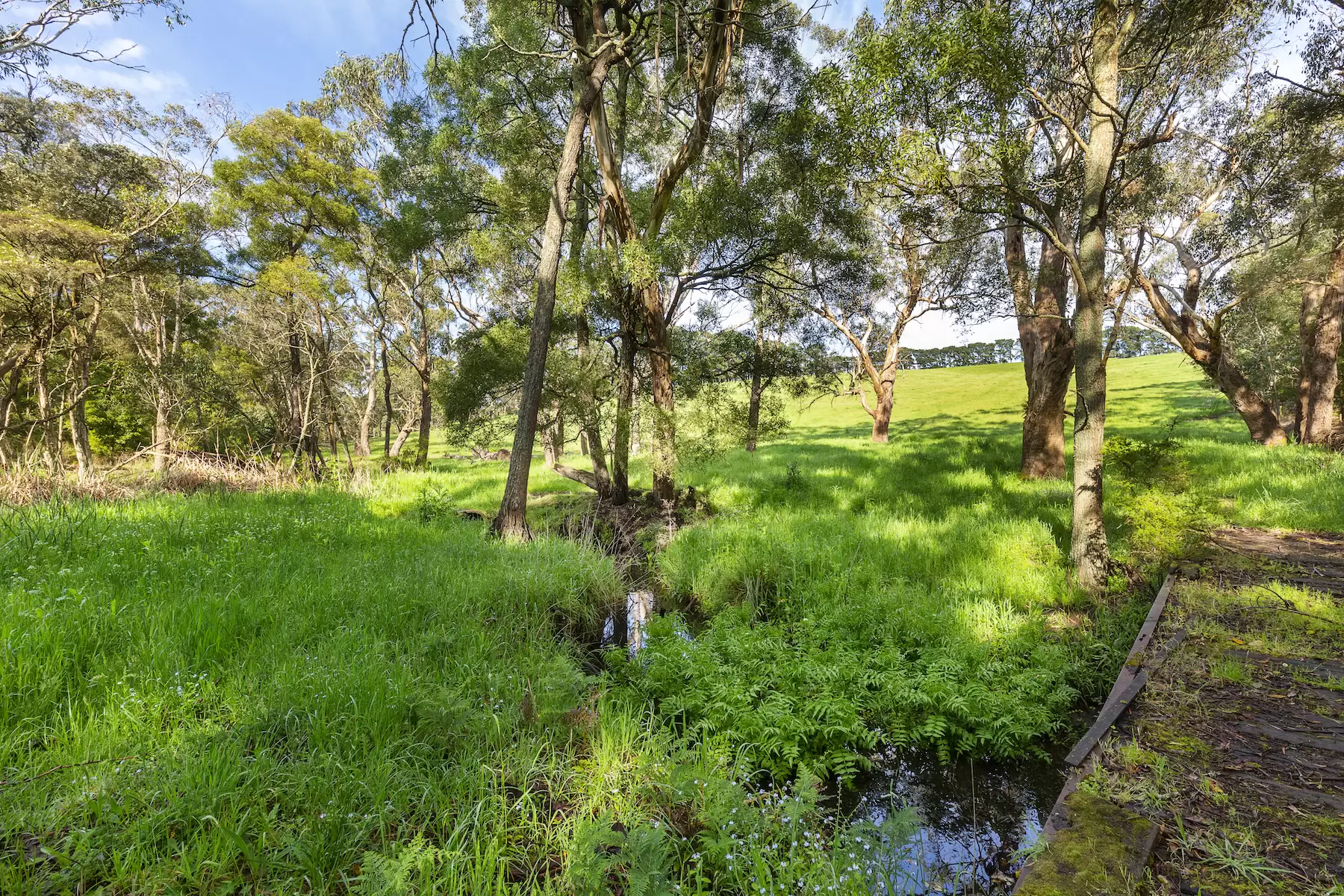 580 Main Creek Road, Main Ridge Sold by Melbourne Sotheby's International Realty - image 14