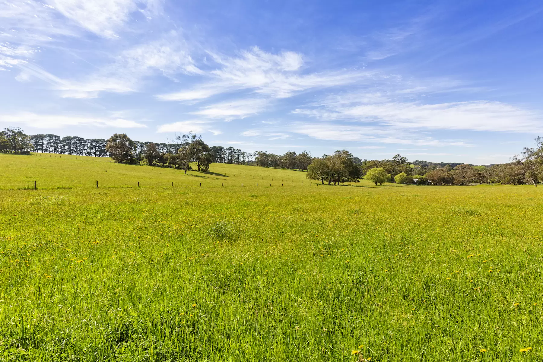 580 Main Creek Road, Main Ridge Sold by Melbourne Sotheby's International Realty - image 13