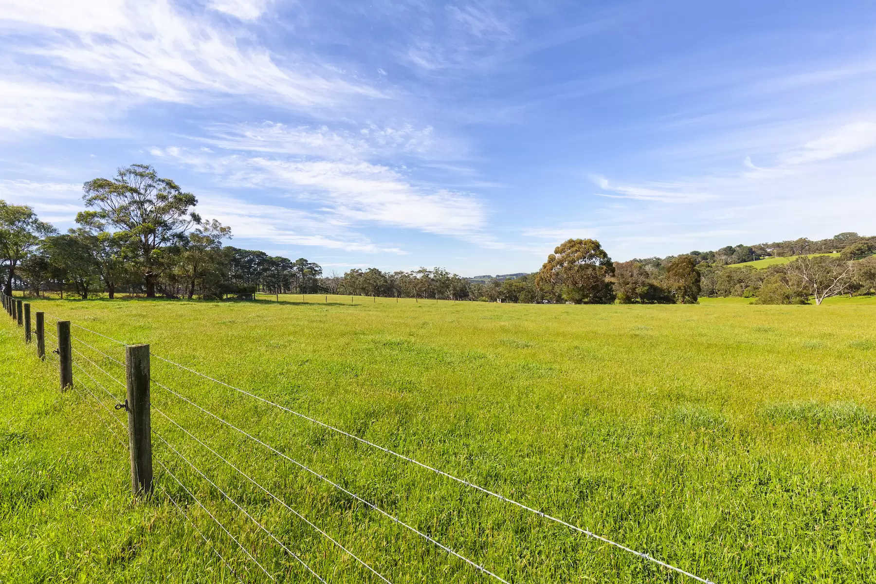 580 Main Creek Road, Main Ridge Sold by Melbourne Sotheby's International Realty - image 12