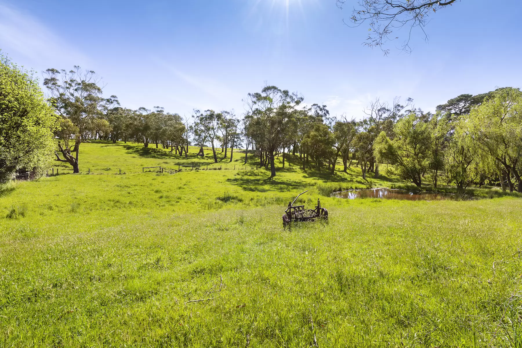 580 Main Creek Road, Main Ridge Sold by Melbourne Sotheby's International Realty - image 17