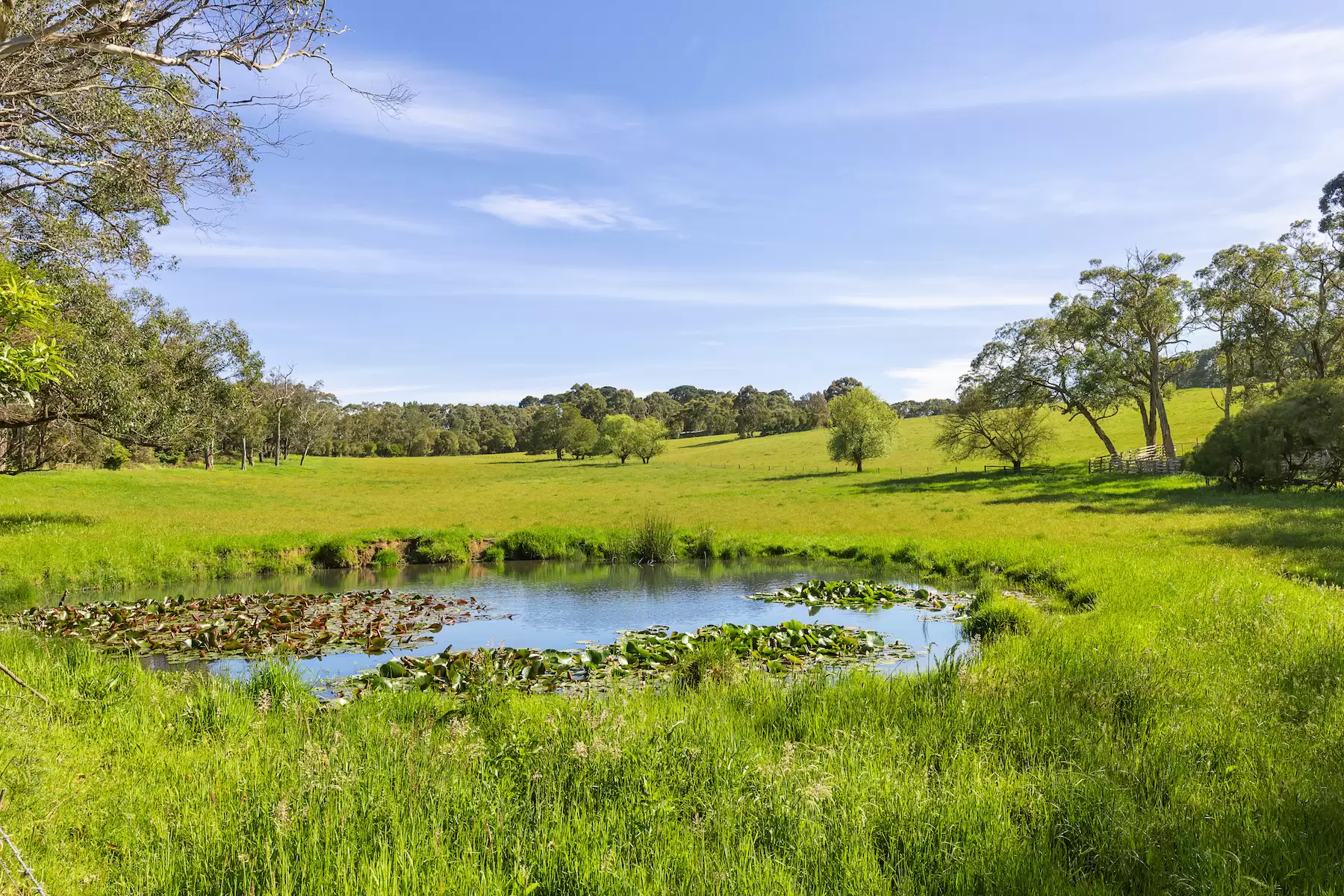 580 Main Creek Road, Main Ridge Sold by Melbourne Sotheby's International Realty - image 11