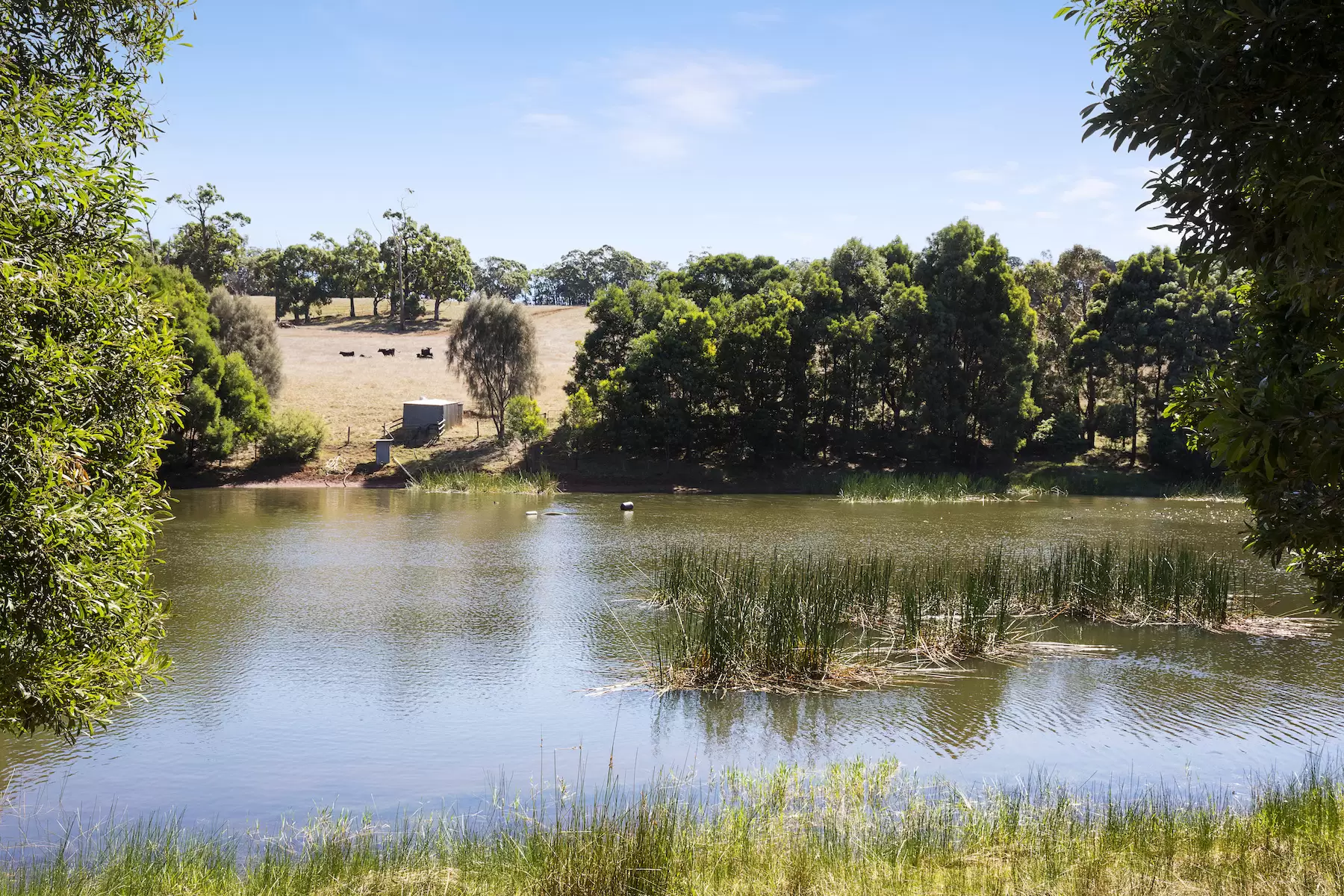 181-193 Tucks Road, Main Ridge Sold by Melbourne Sotheby's International Realty - image 6