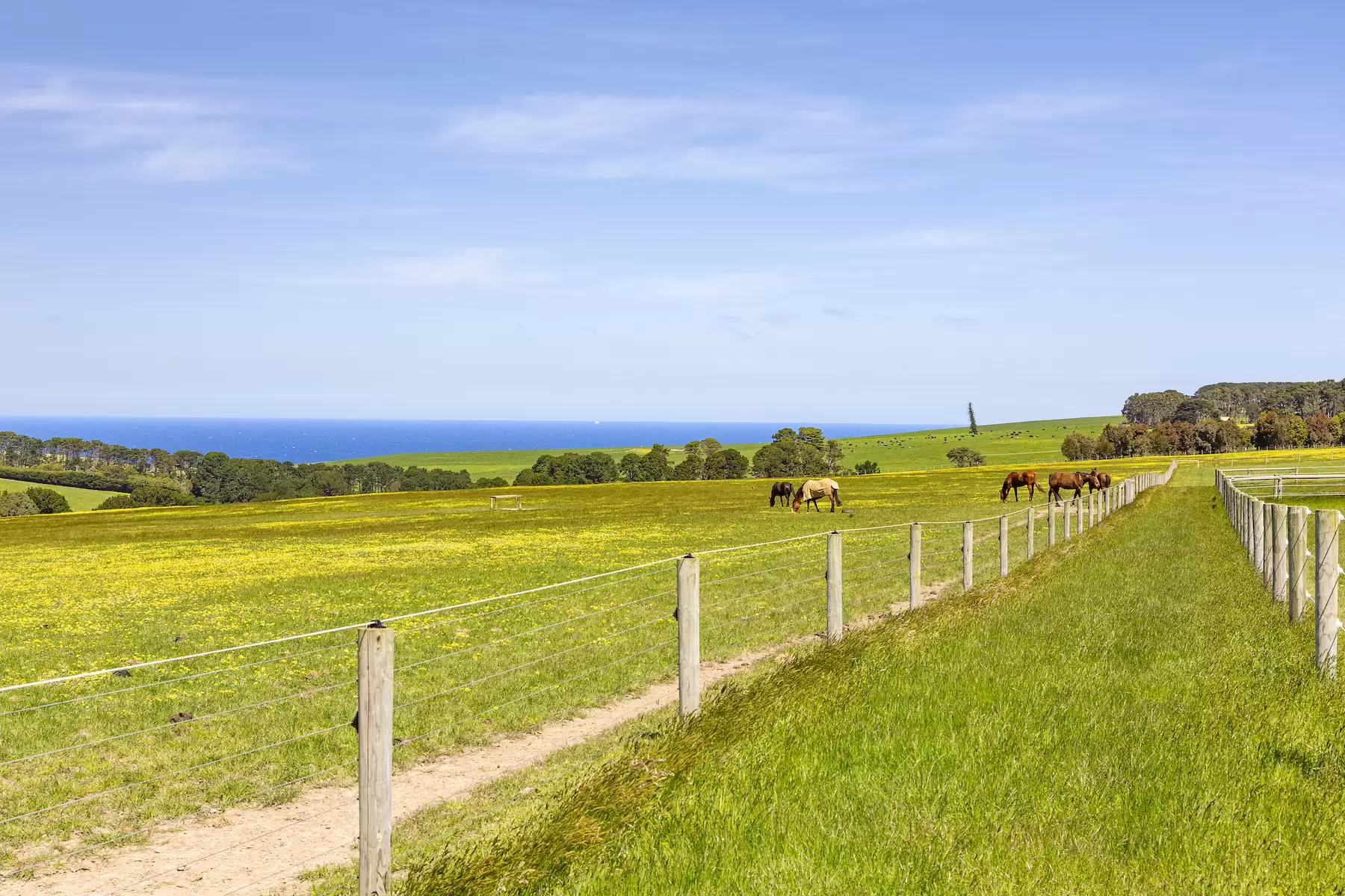 535 Meakins Road, Flinders Sold by Melbourne Sotheby's International Realty - image 4