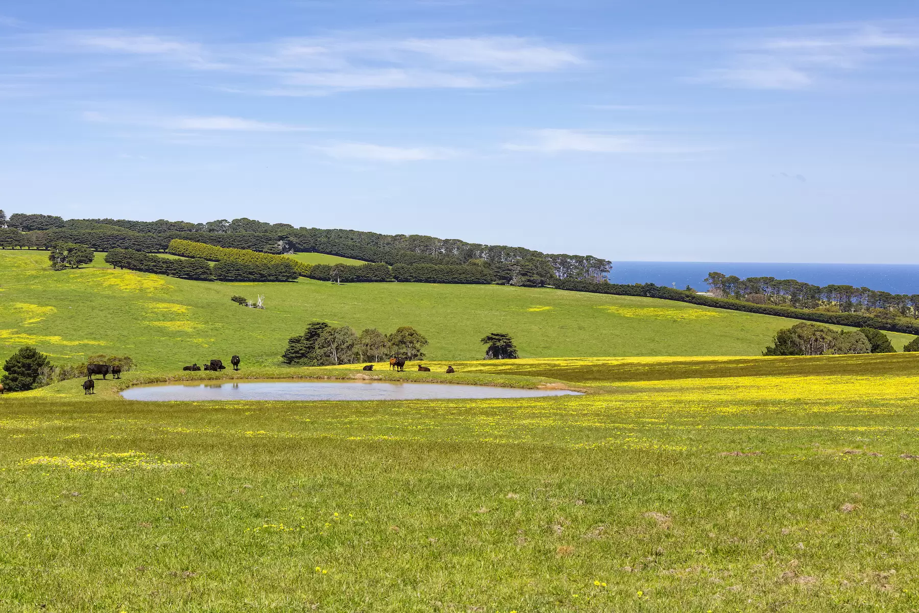 535 Meakins Road, Flinders Sold by Melbourne Sotheby's International Realty - image 3