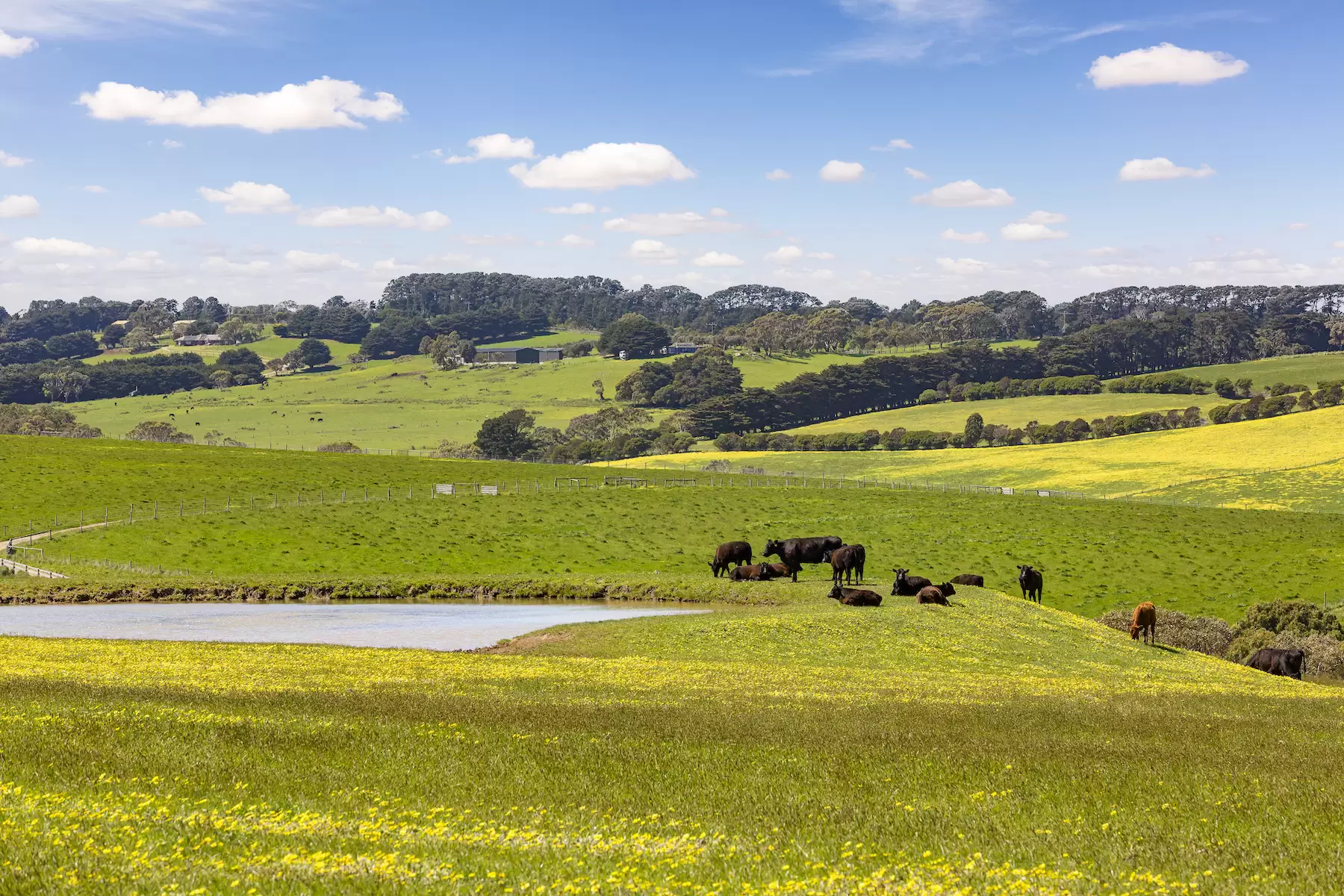 535 Meakins Road, Flinders Sold by Melbourne Sotheby's International Realty - image 16