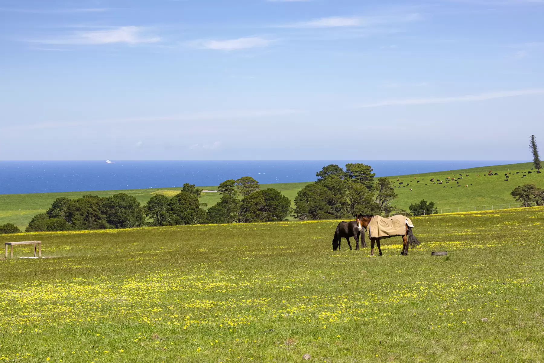 535 Meakins Road, Flinders Sold by Melbourne Sotheby's International Realty - image 14