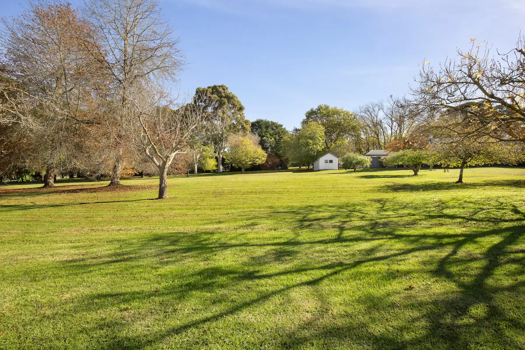 35 Stanleys Road, Merricks Sold by Melbourne Sotheby's International Realty - image 14