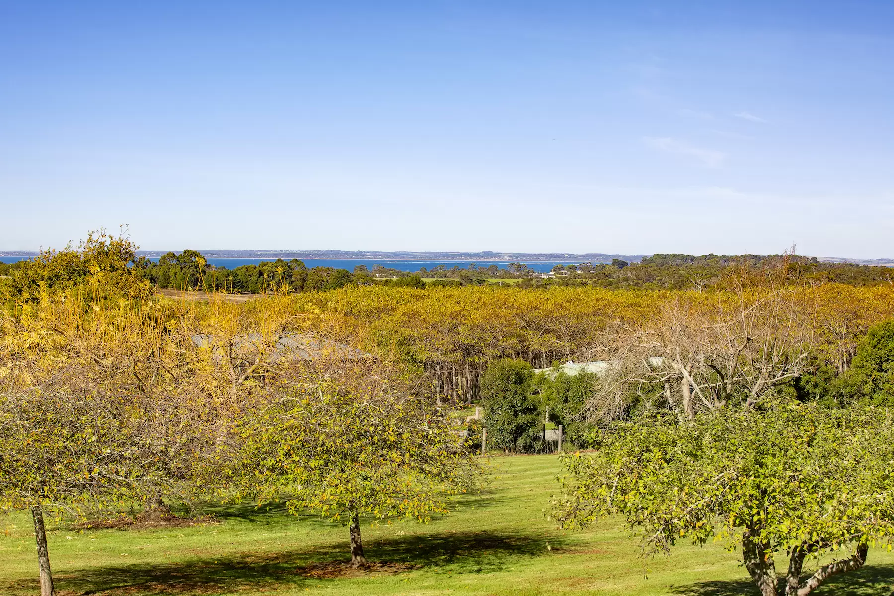 35 Stanleys Road, Merricks Sold by Melbourne Sotheby's International Realty - image 3