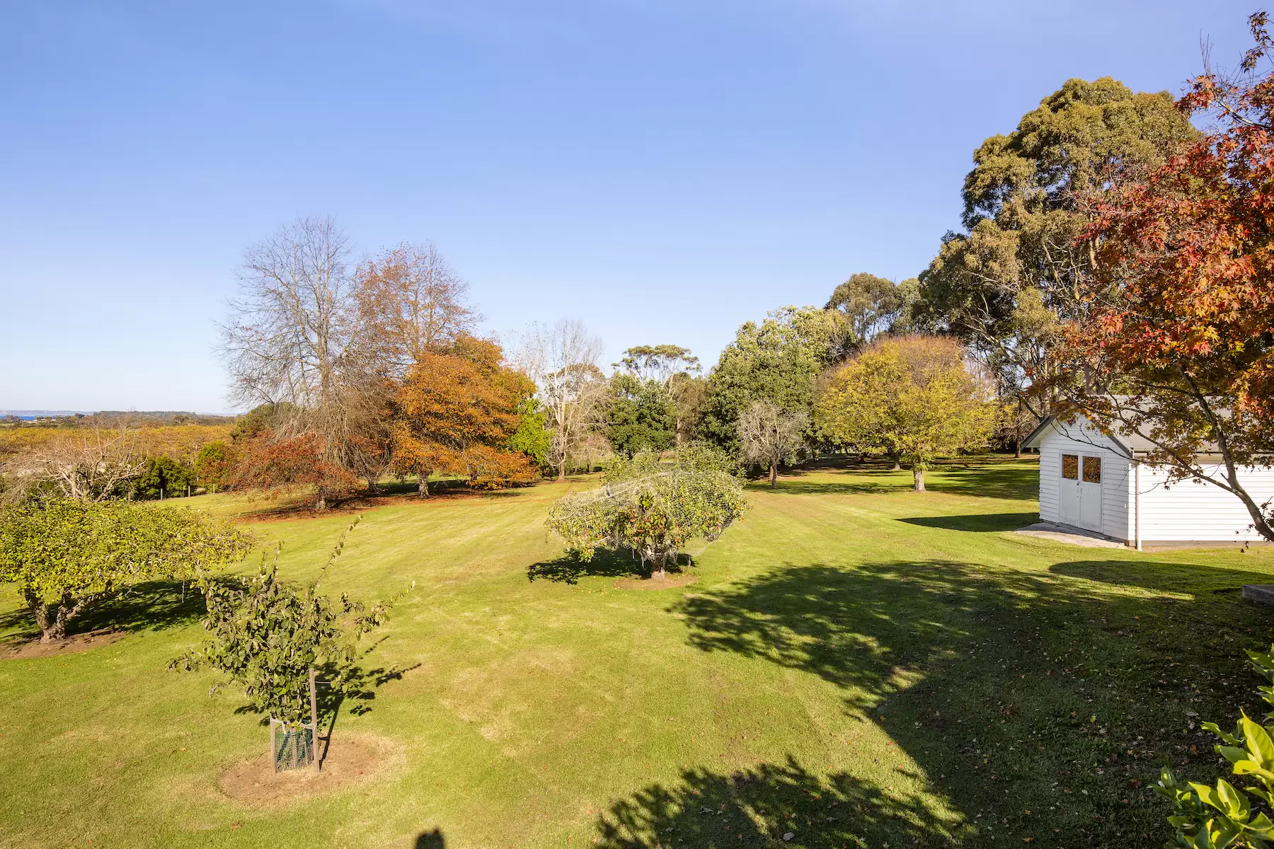 35 Stanleys Road, Merricks Sold by Melbourne Sotheby's International Realty - image 2