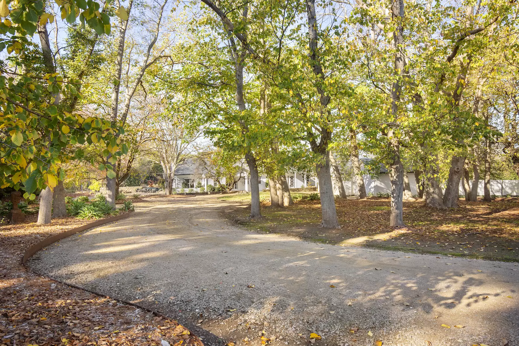 35 Stanleys Road, Merricks Sold by Melbourne Sotheby's International Realty - image 9