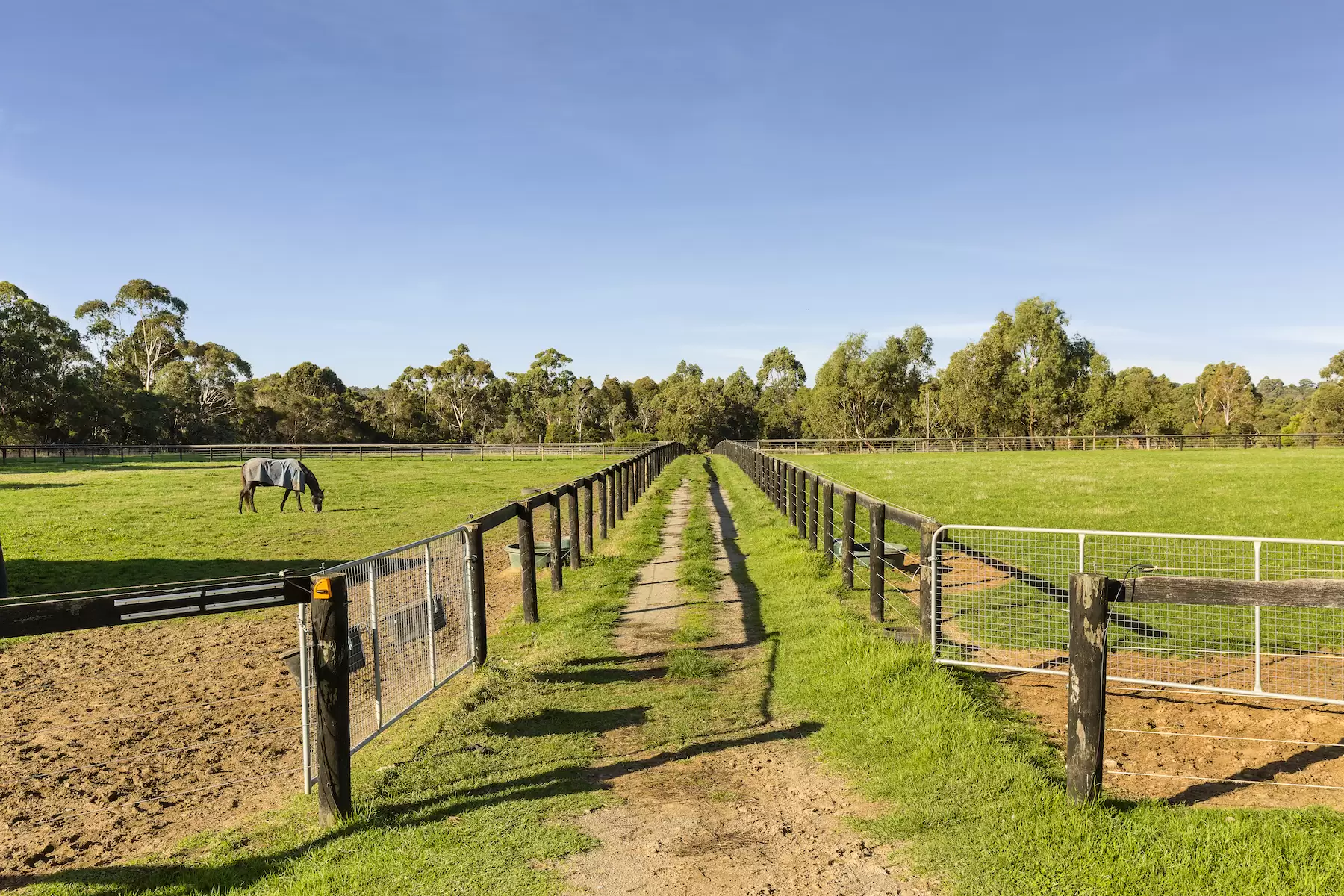 116 - 116A Bittern Dromana Road, Merricks North Sold by Melbourne Sotheby's International Realty - image 12