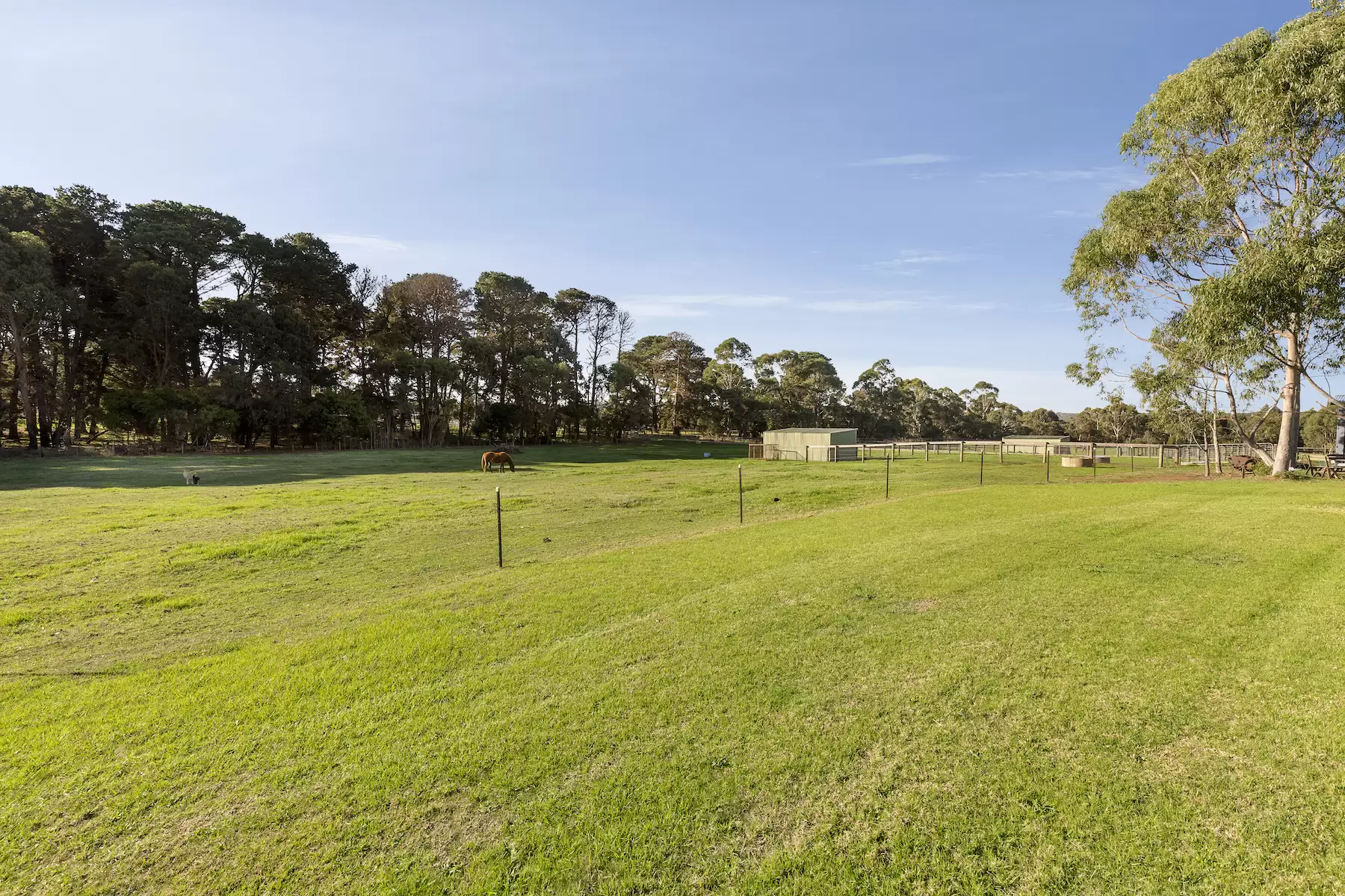 116 - 116A Bittern Dromana Road, Merricks North Sold by Melbourne Sotheby's International Realty - image 11