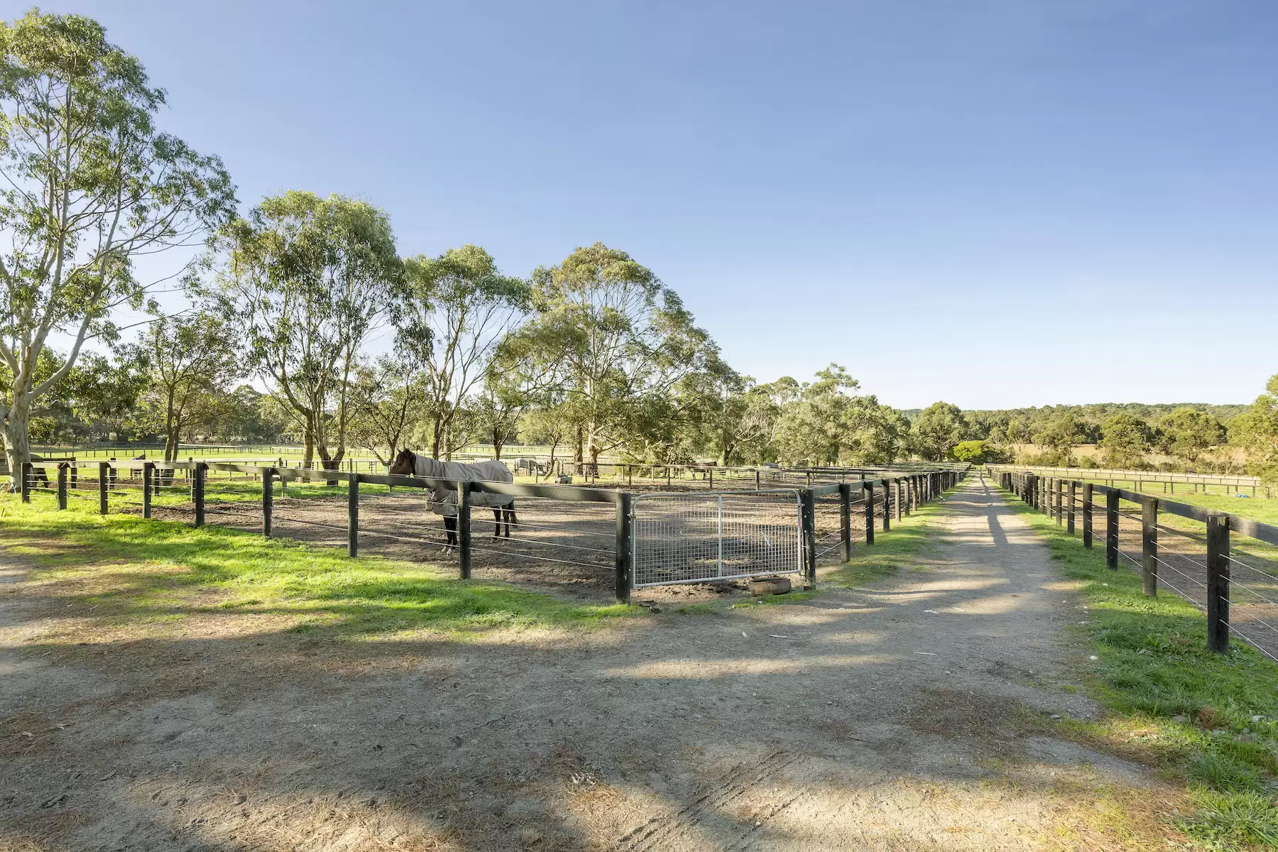 116 - 116A Bittern Dromana Road, Merricks North Sold by Melbourne Sotheby's International Realty - image 13