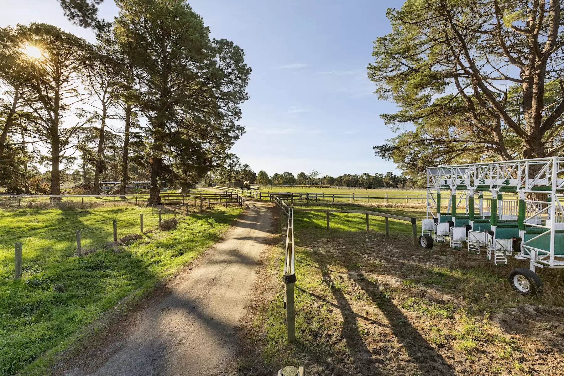 116 - 116A Bittern Dromana Road, Merricks North Sold by Melbourne Sotheby's International Realty - image 16