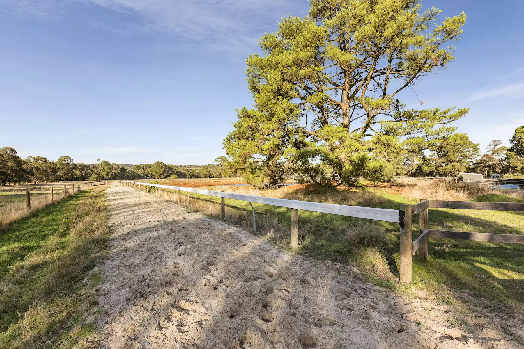 116 - 116A Bittern Dromana Road, Merricks North Sold by Melbourne Sotheby's International Realty - image 15