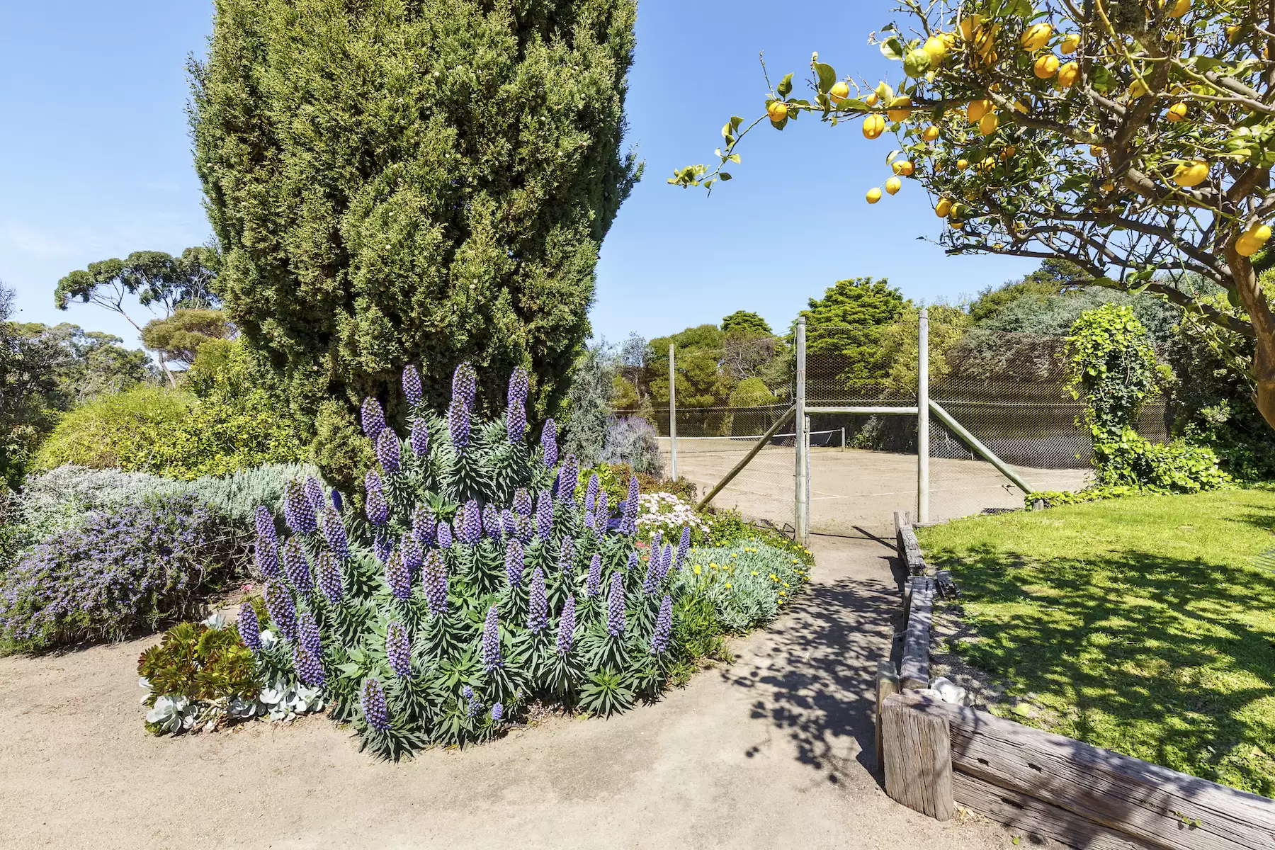 10 Cypress Court, Portsea Sold by Melbourne Sotheby's International Realty - image 15