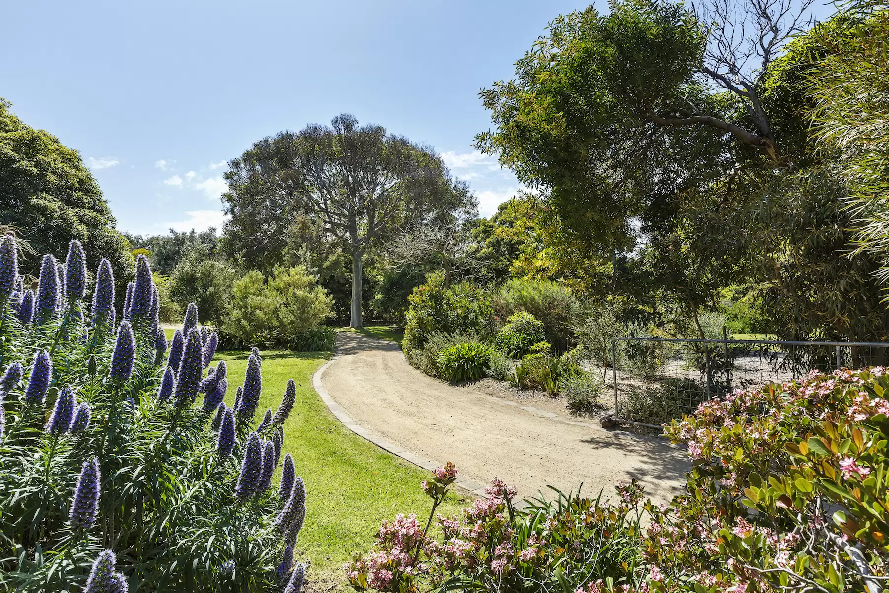 10 Cypress Court, Portsea Sold by Melbourne Sotheby's International Realty - image 13