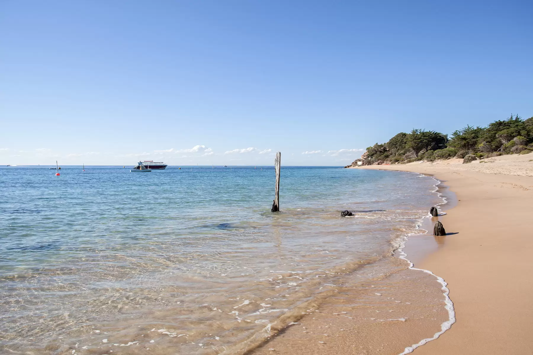 38 Delgany Avenue, Portsea Sold by Melbourne Sotheby's International Realty - image 5