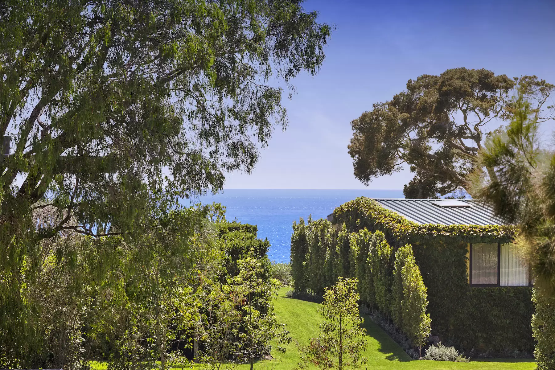 3538 Point Nepean Road, Portsea Sold by Melbourne Sotheby's International Realty - image 2