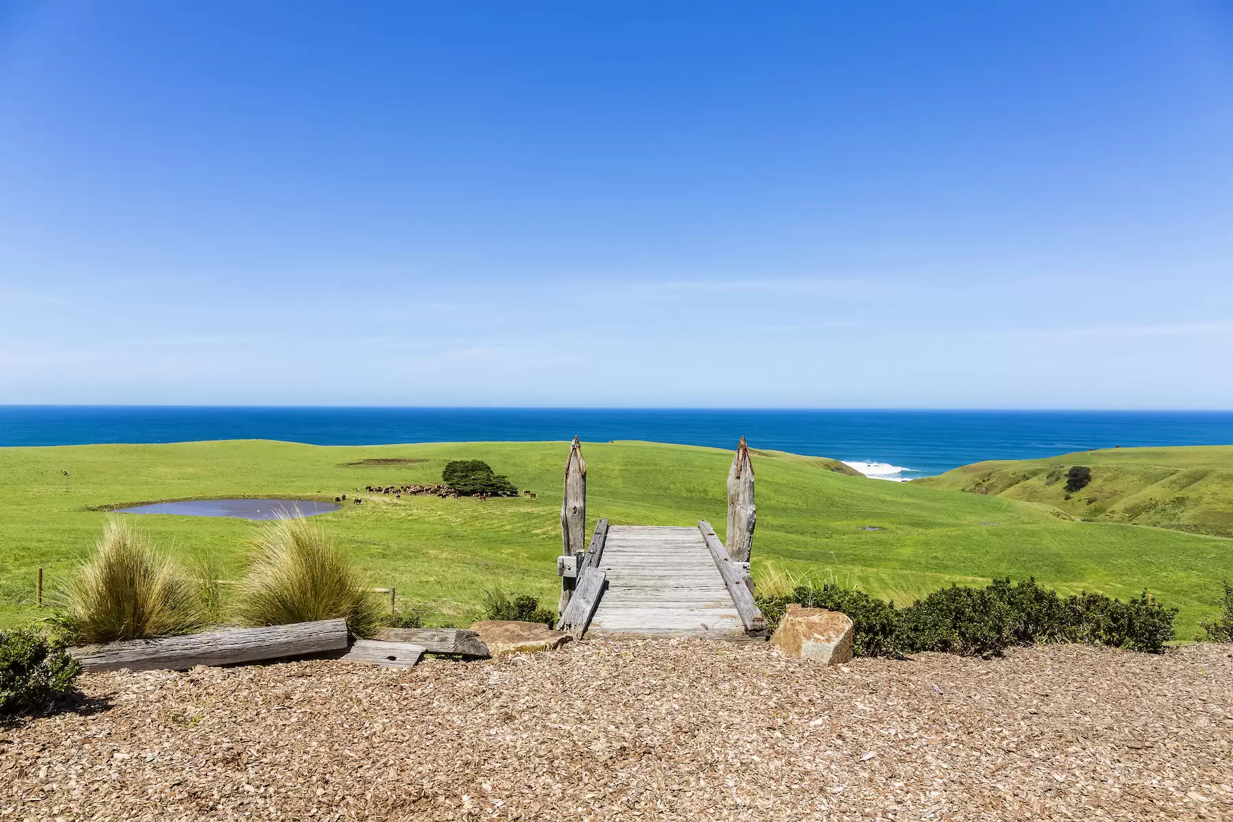 1746 Boneo Road, Flinders Sold by Melbourne Sotheby's International Realty - image 2