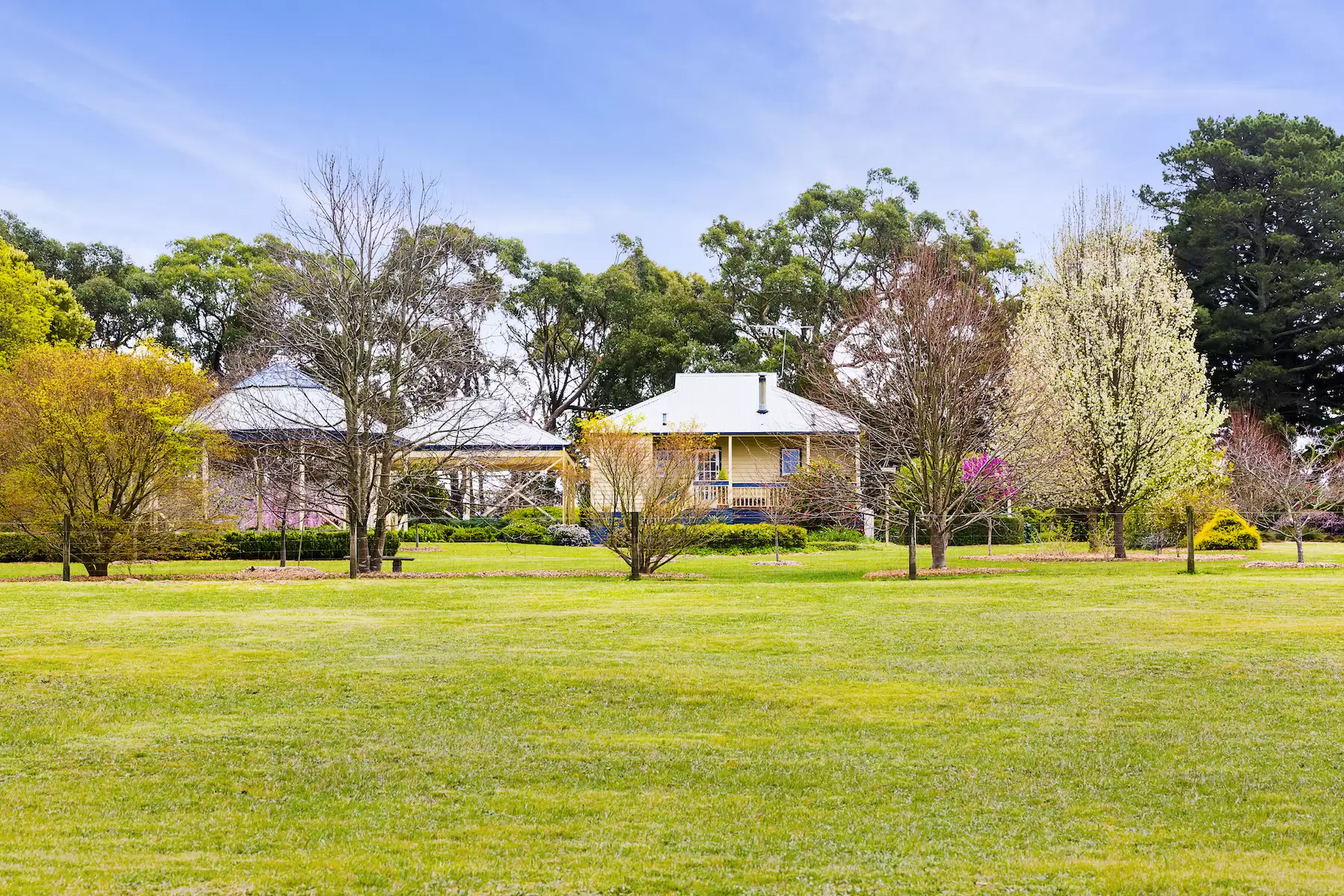 427 Arthurs Seat Road, Red Hill Sold by Melbourne Sotheby's International Realty - image 4