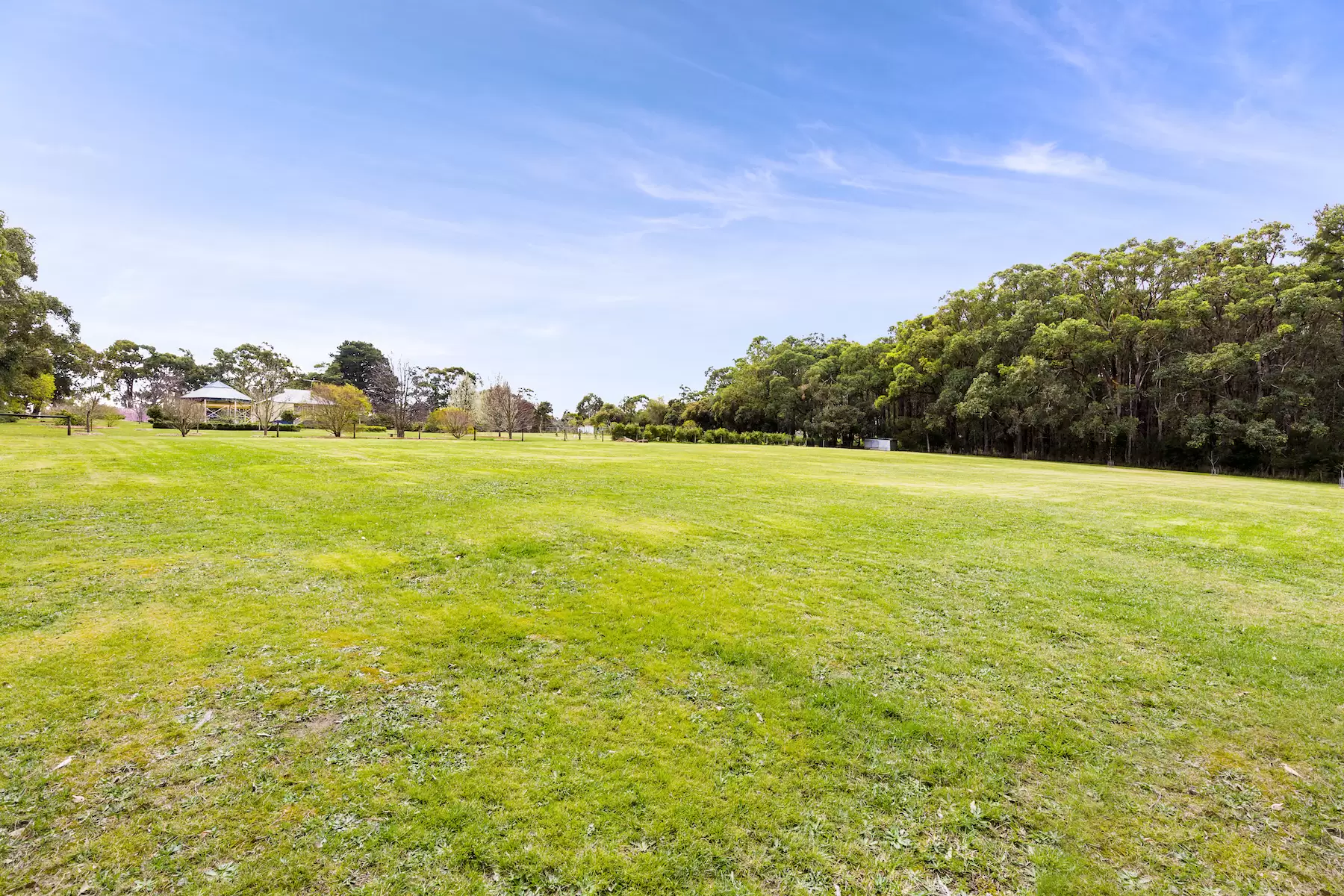 427 Arthurs Seat Road, Red Hill Sold by Melbourne Sotheby's International Realty - image 8