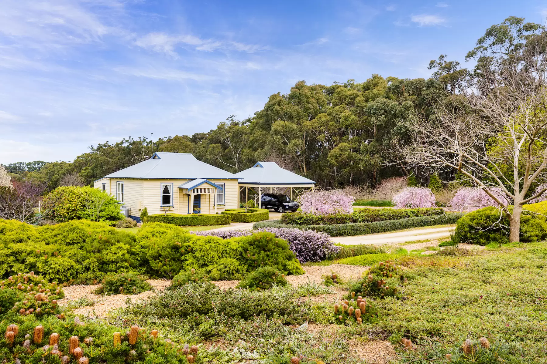 427 Arthurs Seat Road, Red Hill Sold by Melbourne Sotheby's International Realty - image 14