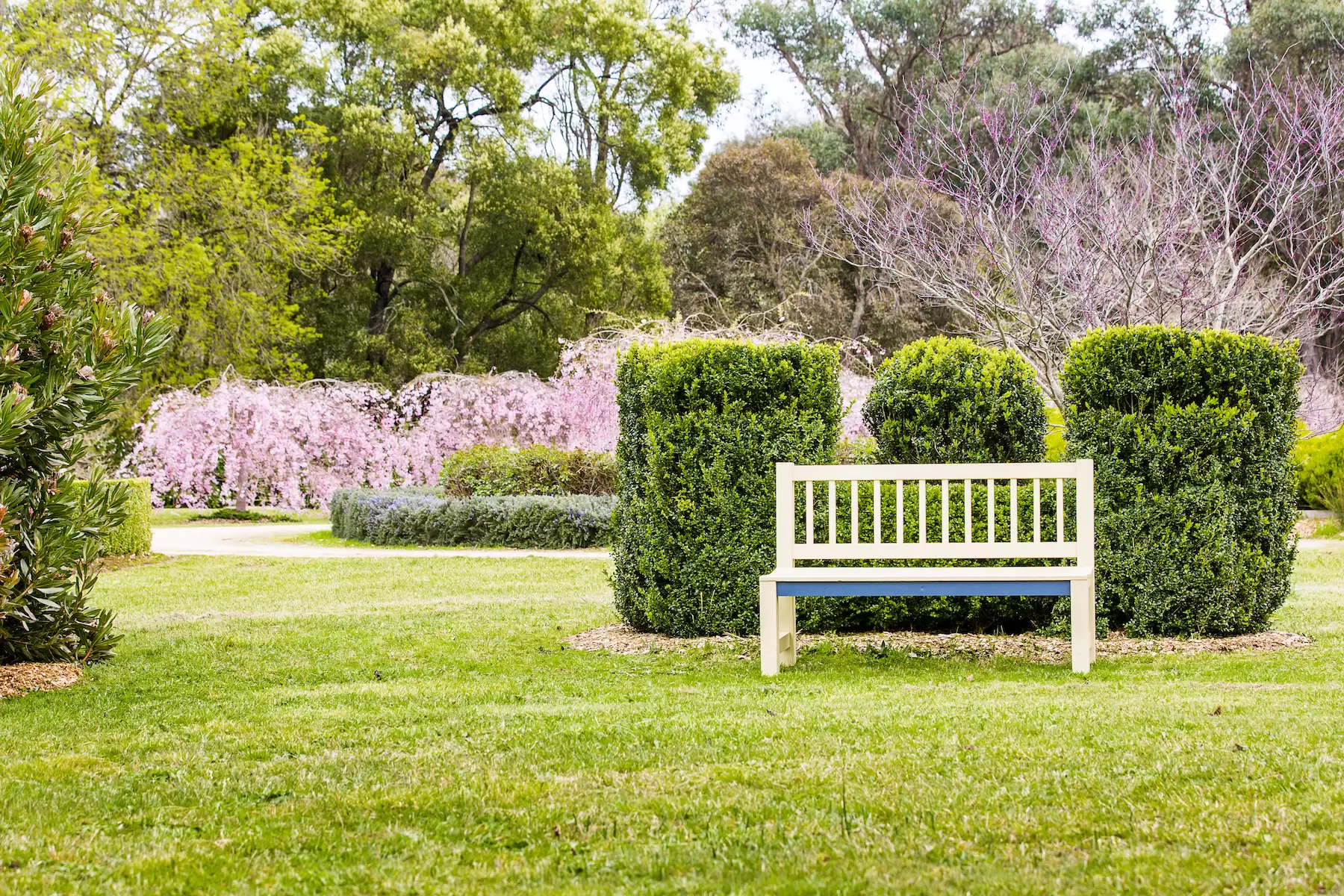 427 Arthurs Seat Road, Red Hill Sold by Melbourne Sotheby's International Realty - image 15