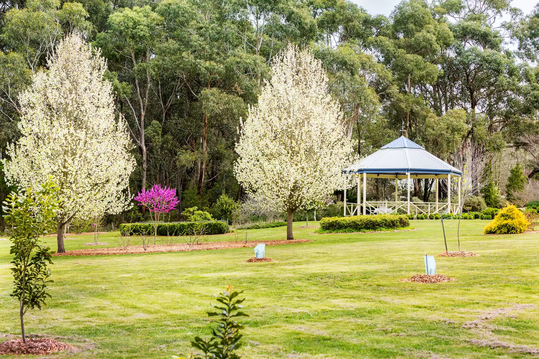 427 Arthurs Seat Road, Red Hill Sold by Melbourne Sotheby's International Realty - image 5