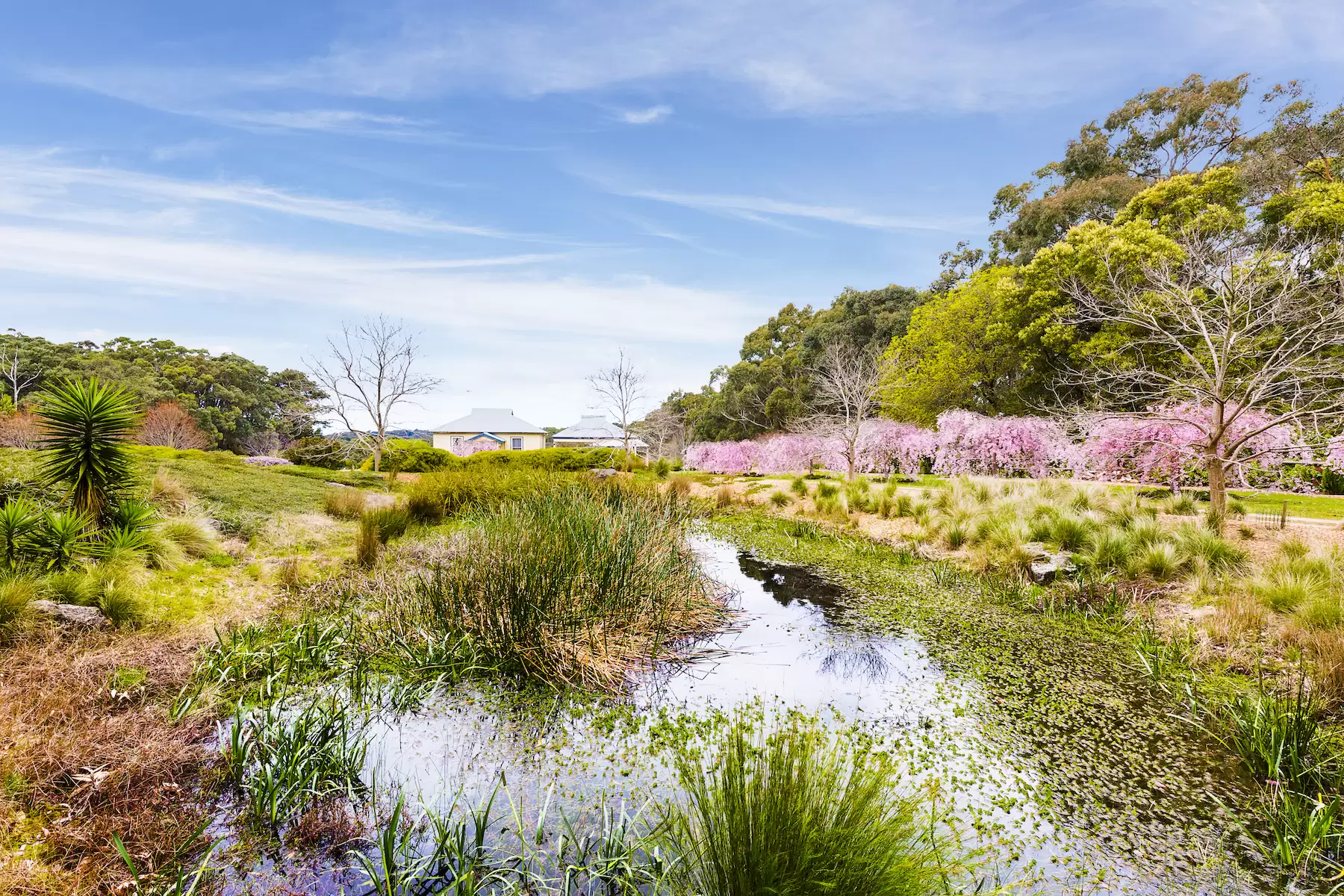 427 Arthurs Seat Road, Red Hill Sold by Melbourne Sotheby's International Realty - image 12