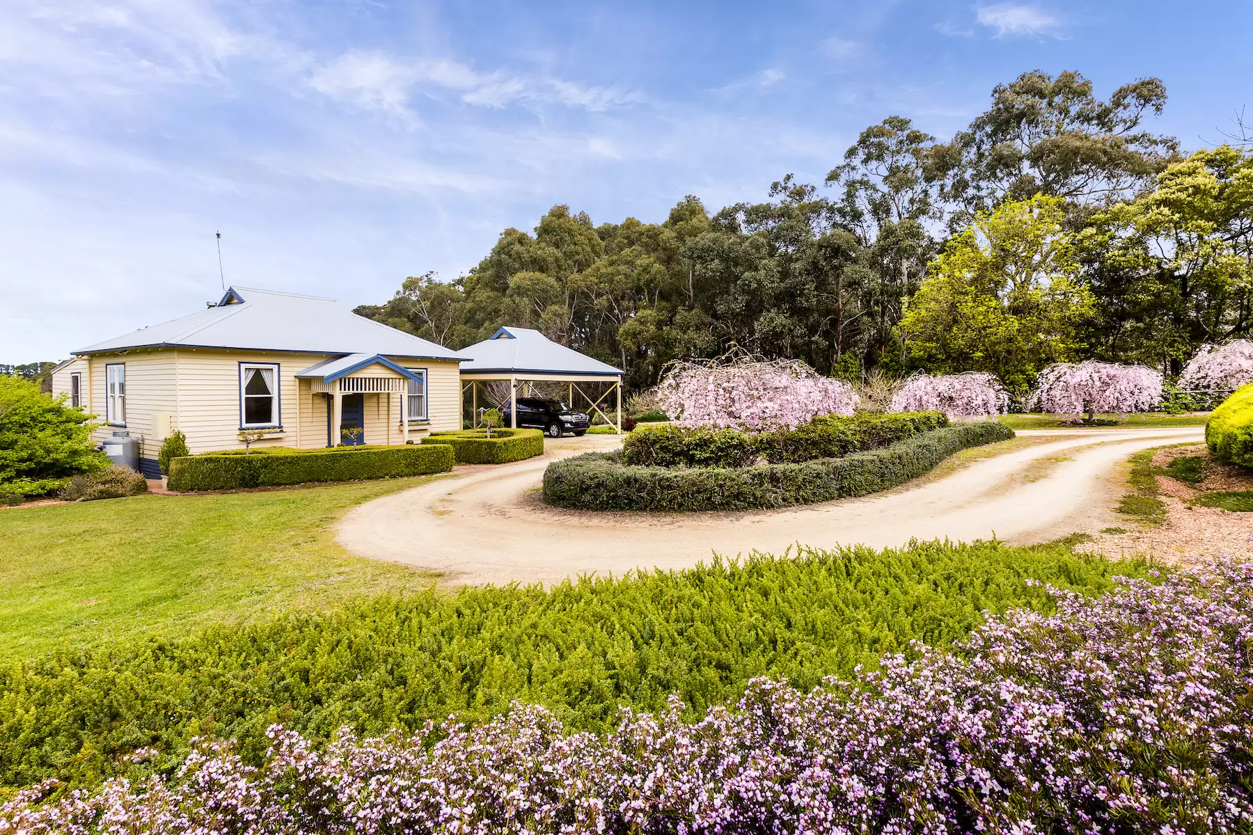 427 Arthurs Seat Road, Red Hill Sold by Melbourne Sotheby's International Realty - image 2