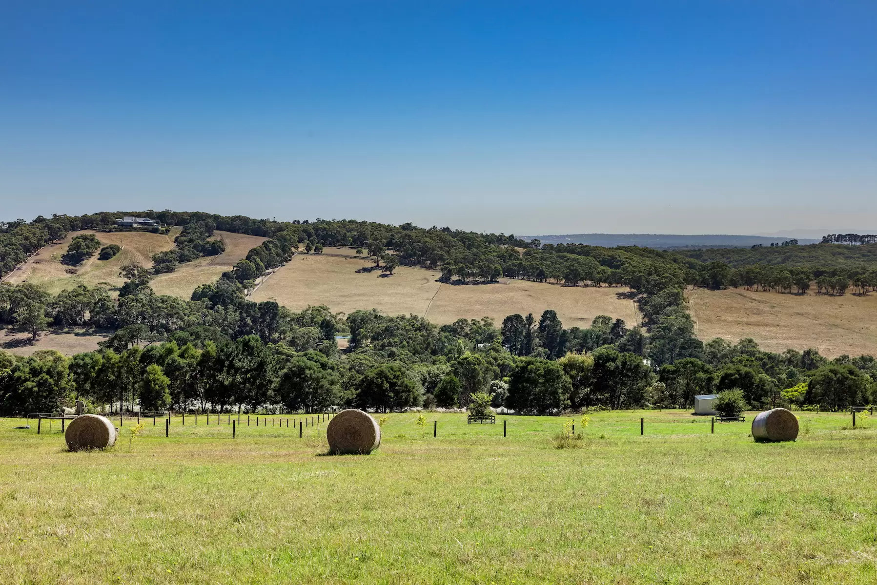 116 Donaldsons Road, Red Hill Sold by Melbourne Sotheby's International Realty - image 11