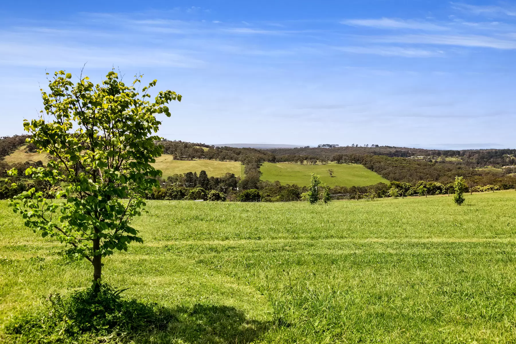 116 Donaldsons Road, Red Hill Sold by Melbourne Sotheby's International Realty - image 3