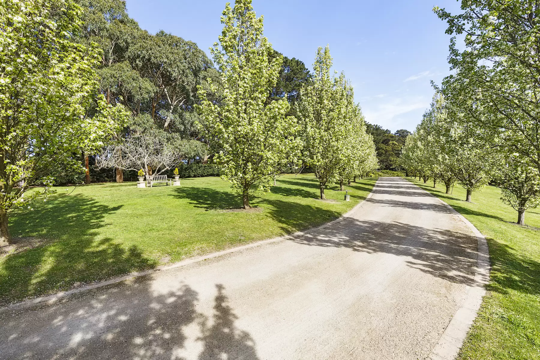 60 Sheehans Road, Red Hill Sold by Melbourne Sotheby's International Realty - image 5