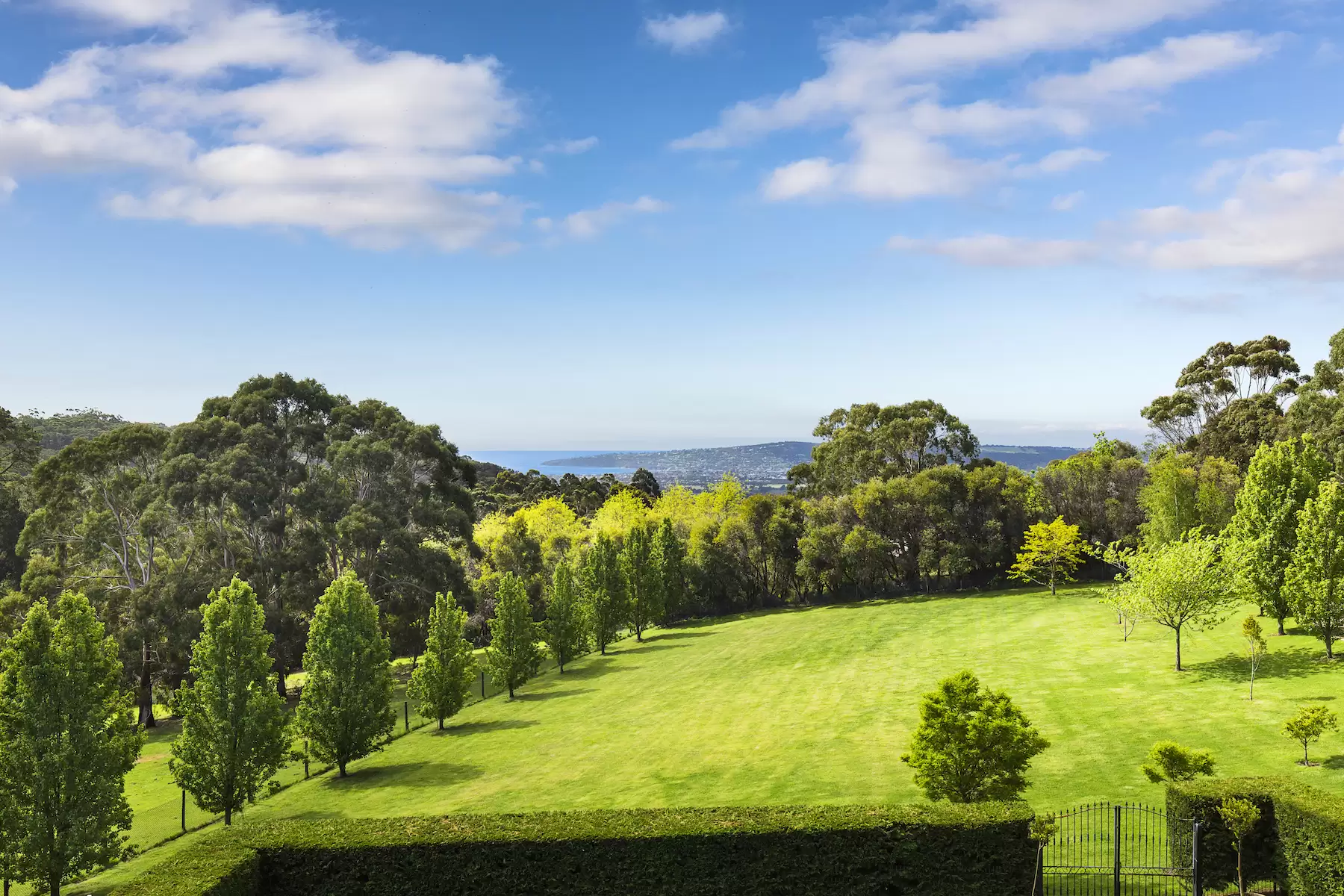 60 Sheehans Road, Red Hill Sold by Melbourne Sotheby's International Realty - image 3