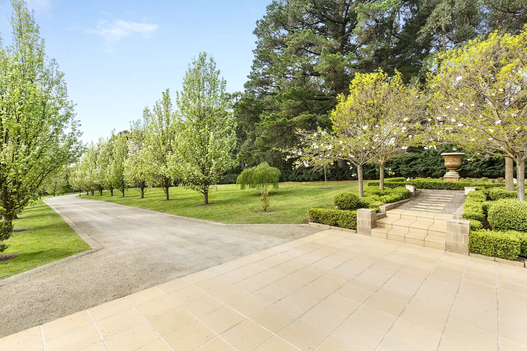 60 Sheehans Road, Red Hill Sold by Melbourne Sotheby's International Realty - image 20