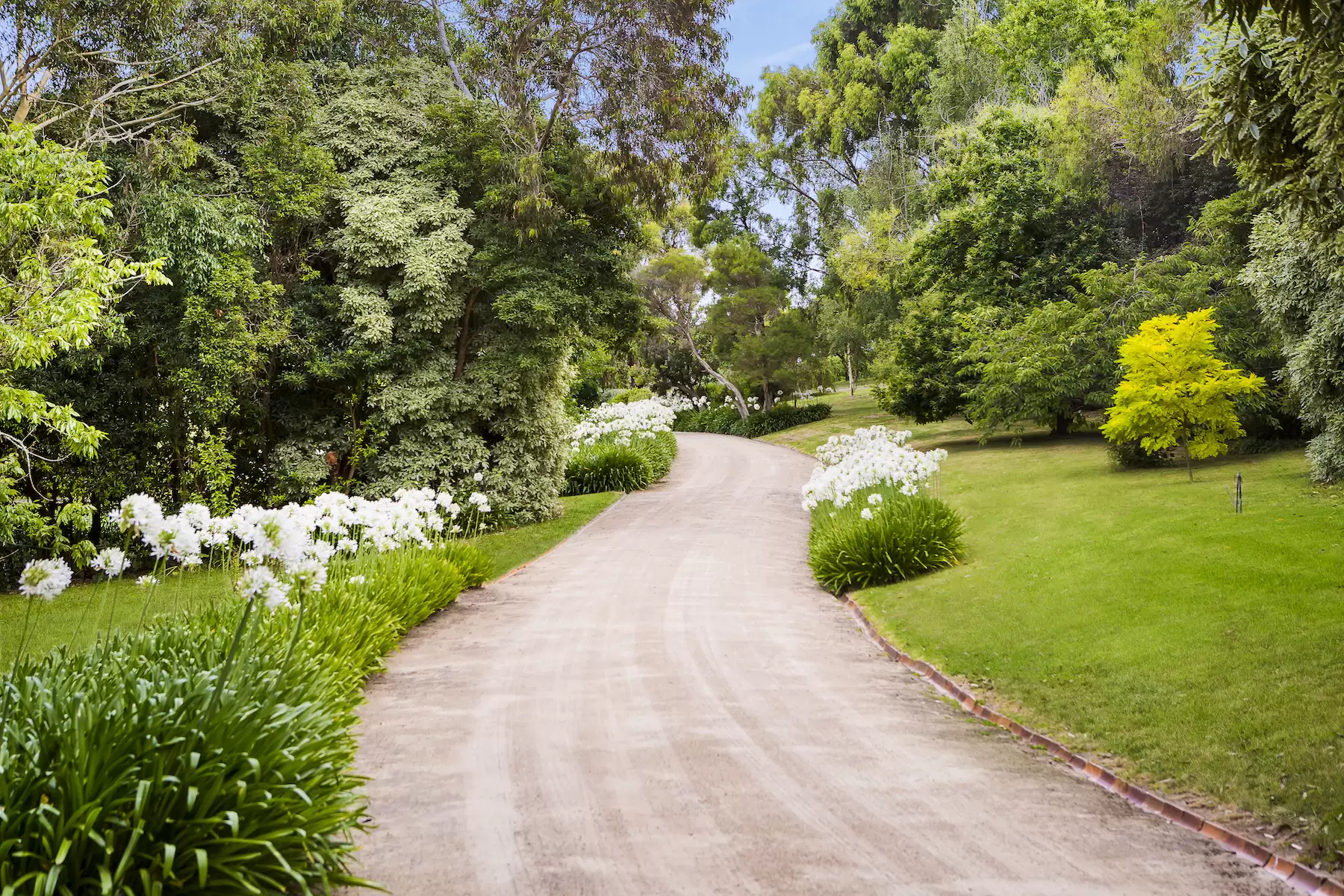 57 Shoreham Road, Red Hill South Sold by Melbourne Sotheby's International Realty - image 23