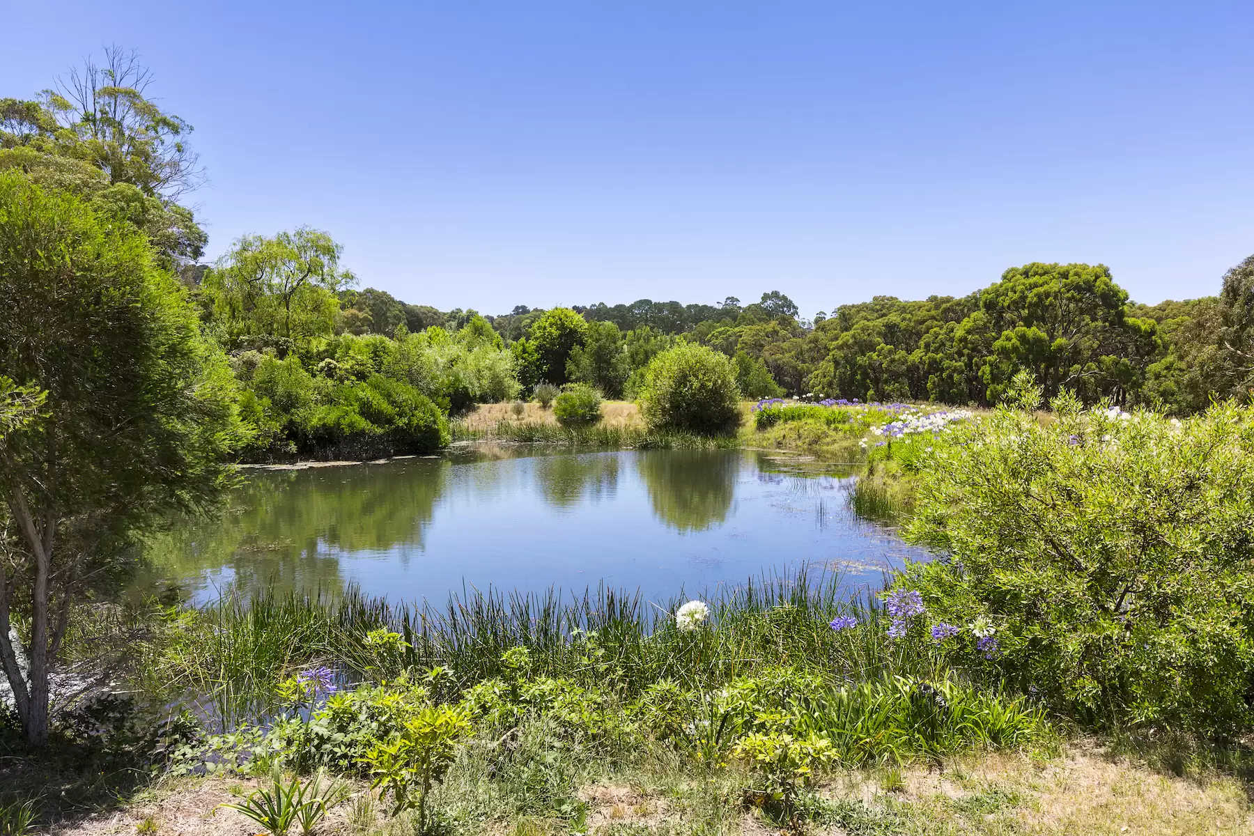 57 Shoreham Road, Red Hill South Sold by Melbourne Sotheby's International Realty - image 6