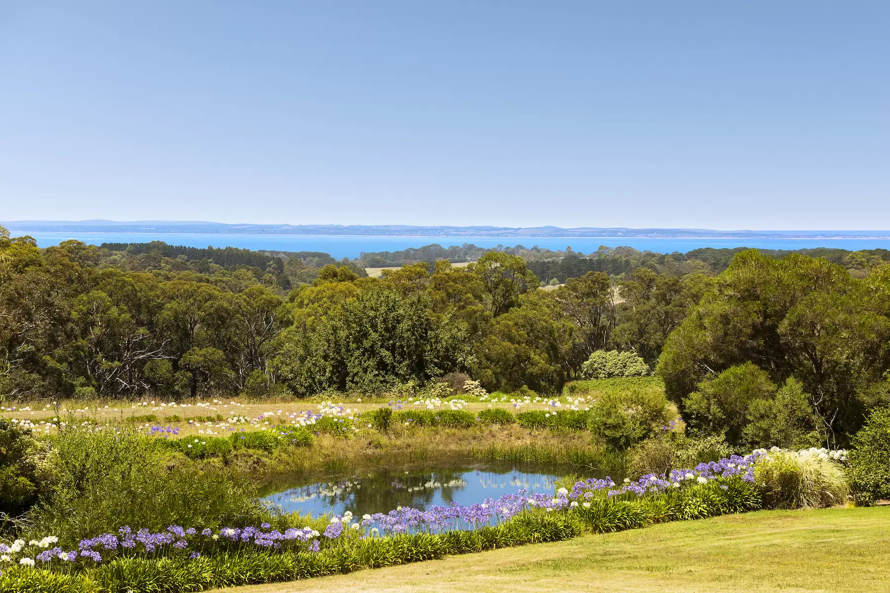 57 Shoreham Road, Red Hill South Sold by Melbourne Sotheby's International Realty - image 1