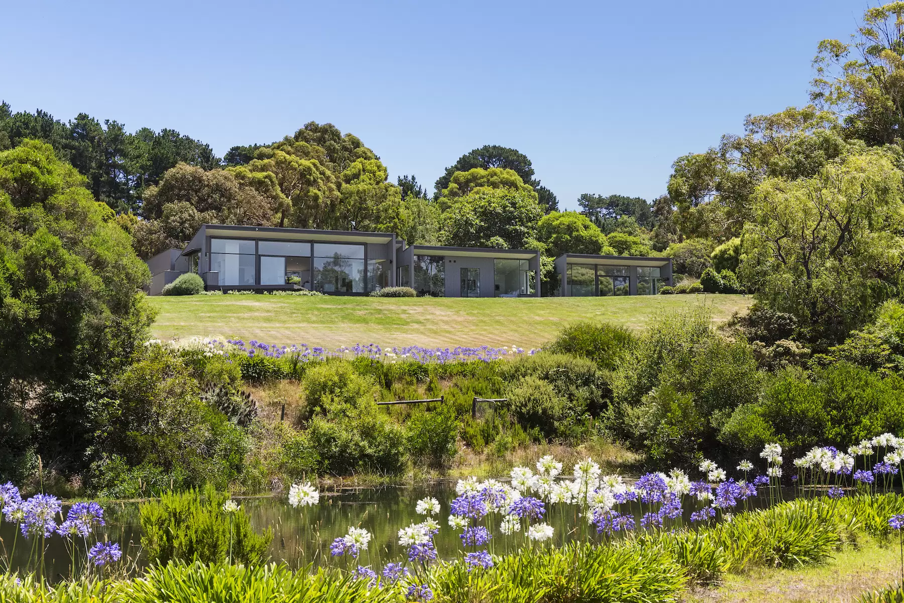 57 Shoreham Road, Red Hill South Sold by Melbourne Sotheby's International Realty - image 5