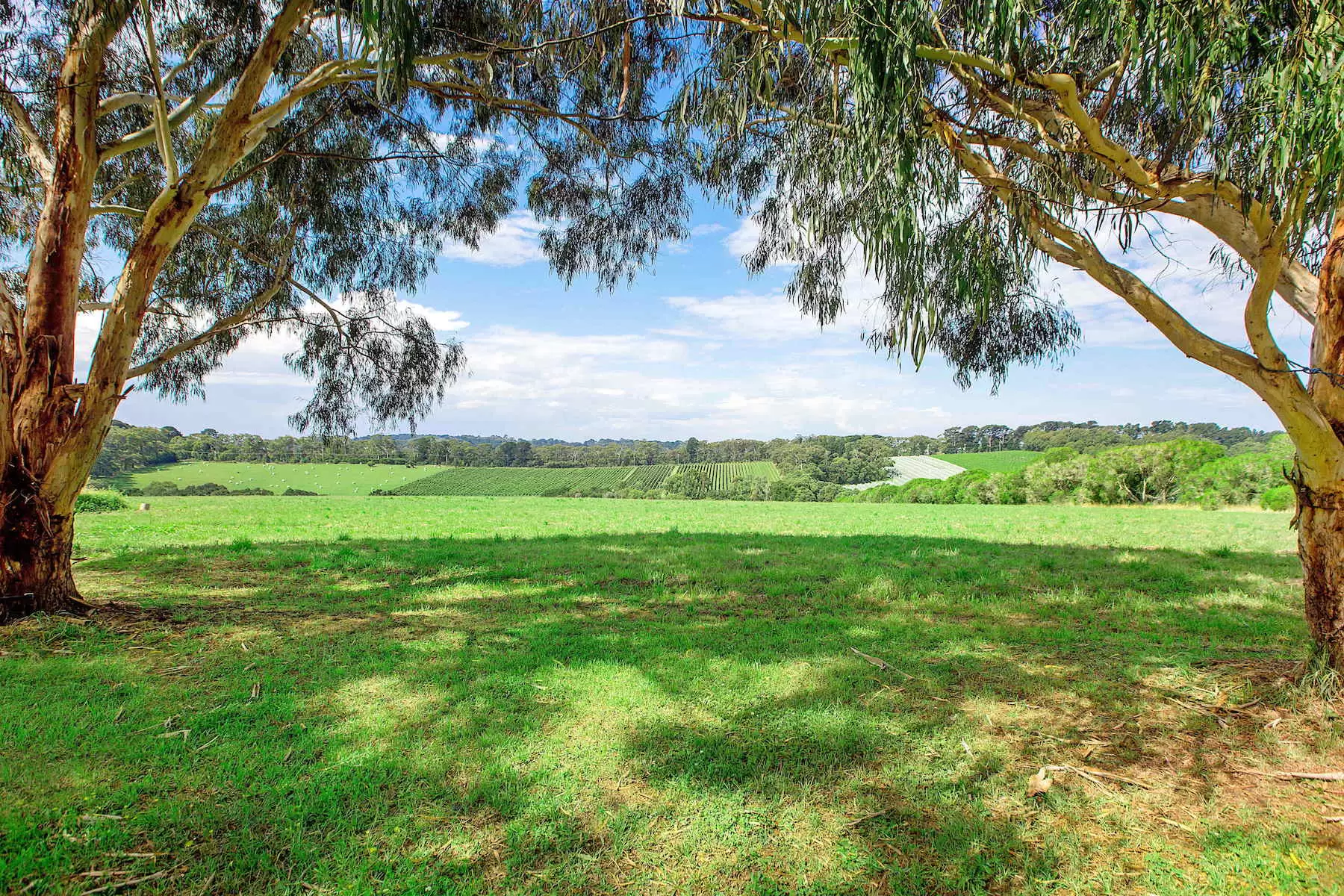 1369 Mornington Flinders Road, Main Ridge Sold by Melbourne Sotheby's International Realty - image 3