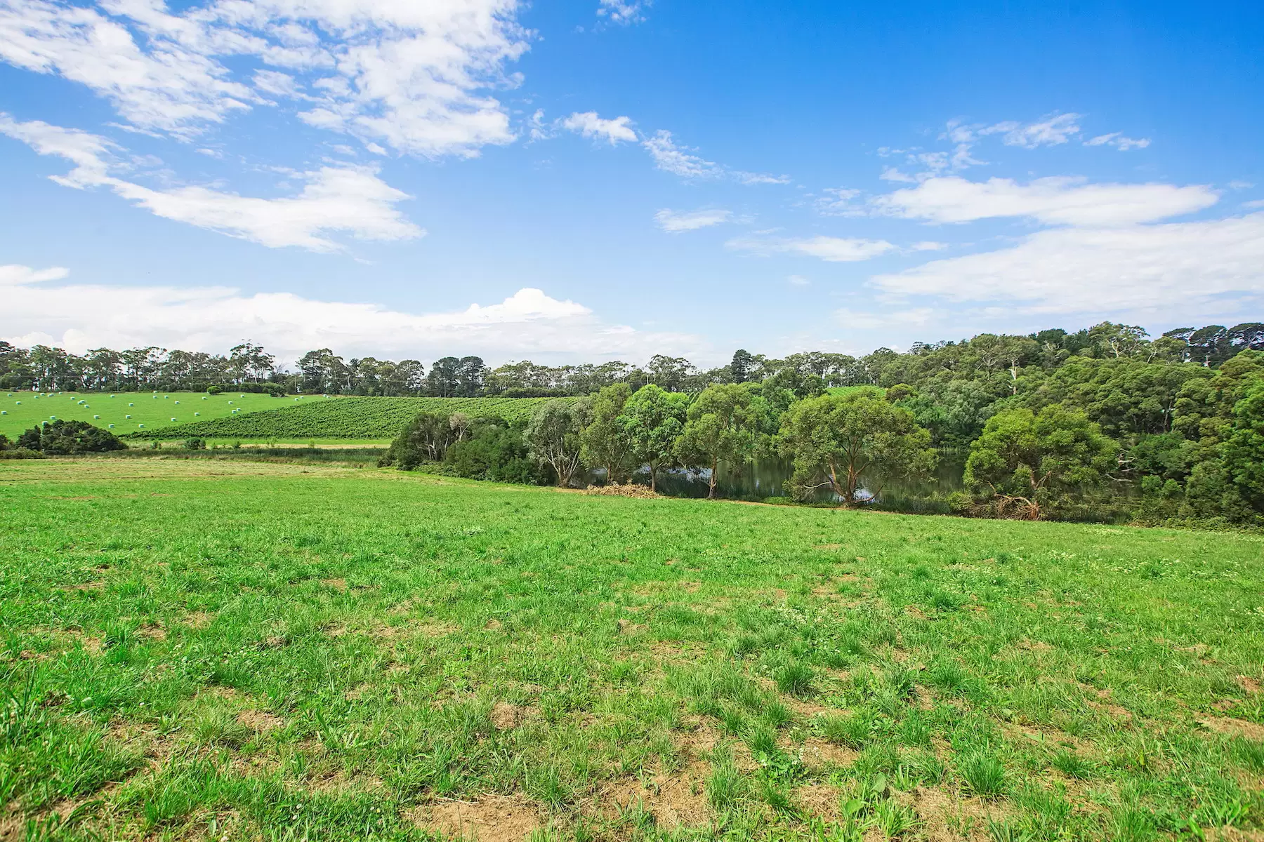 1369 Mornington Flinders Road, Main Ridge Sold by Melbourne Sotheby's International Realty - image 4