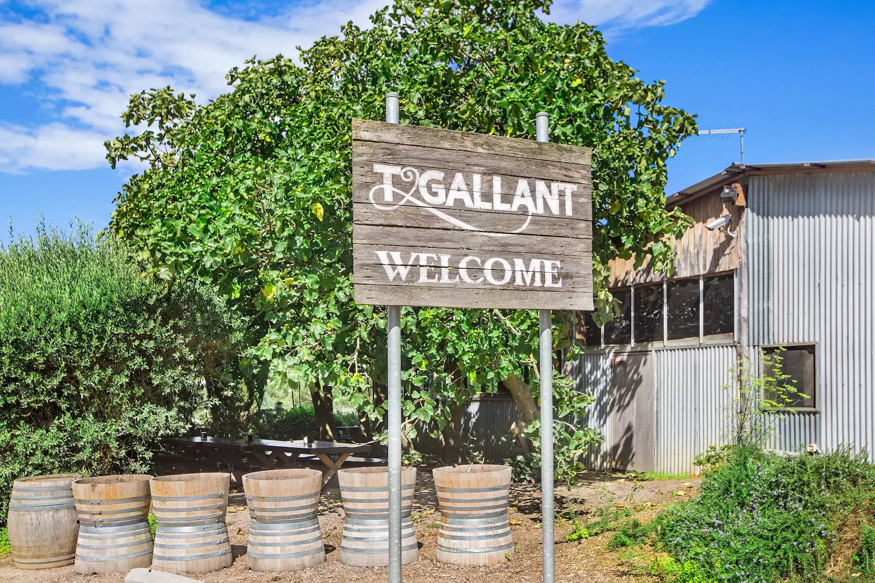 1369 Mornington Flinders Road, Main Ridge Sold by Melbourne Sotheby's International Realty - image 15